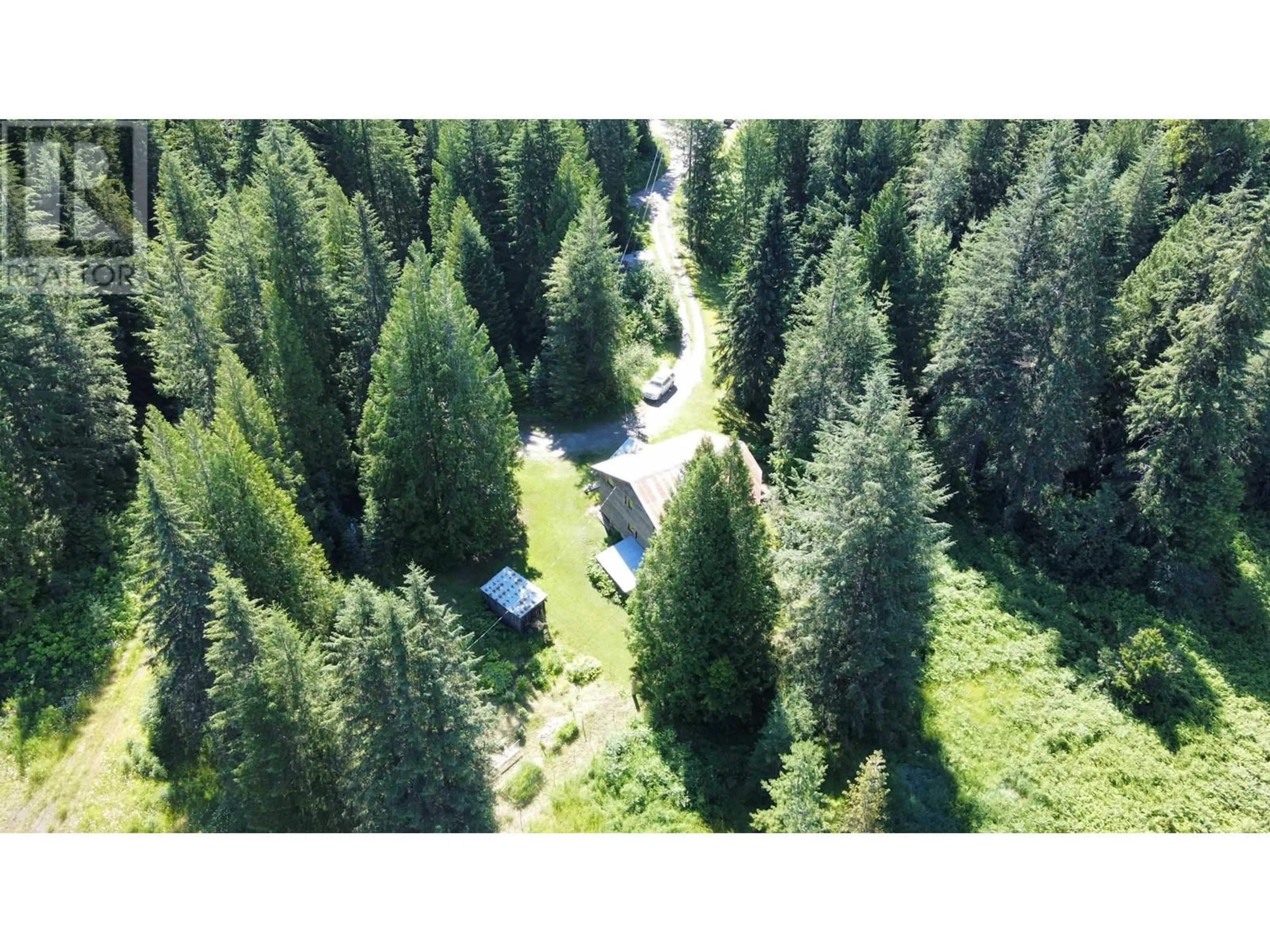 A pic from outside/outdoor area/front of a property/back of a property/a pic from drone, forest/trees view for 106 BALDWIN ROAD ROAD, Hills British Columbia V0G1S1