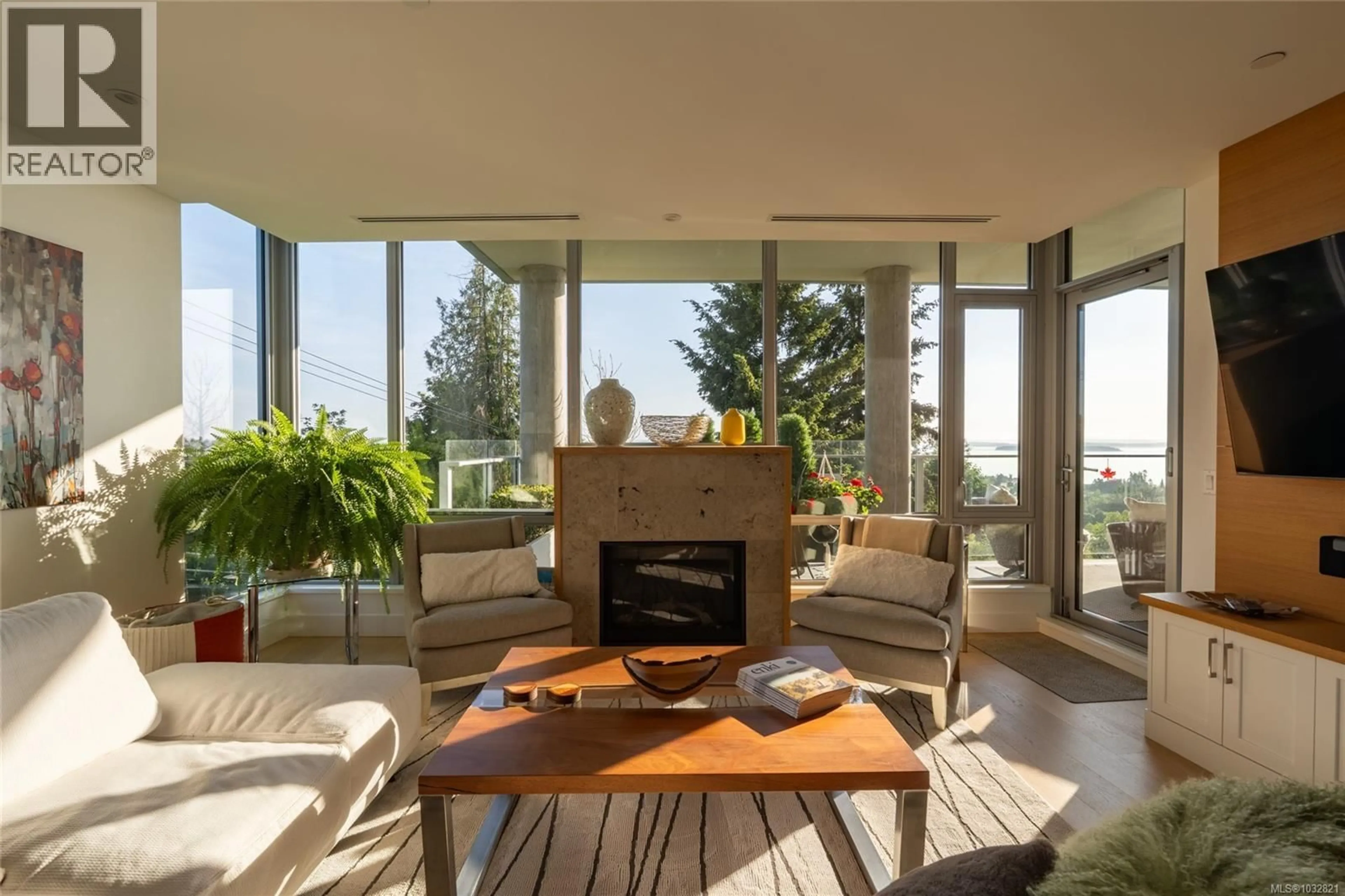 Living room with furniture, unknown for 301 - 5388 HILL RISE TERRACE, Saanich British Columbia V8Y3K3