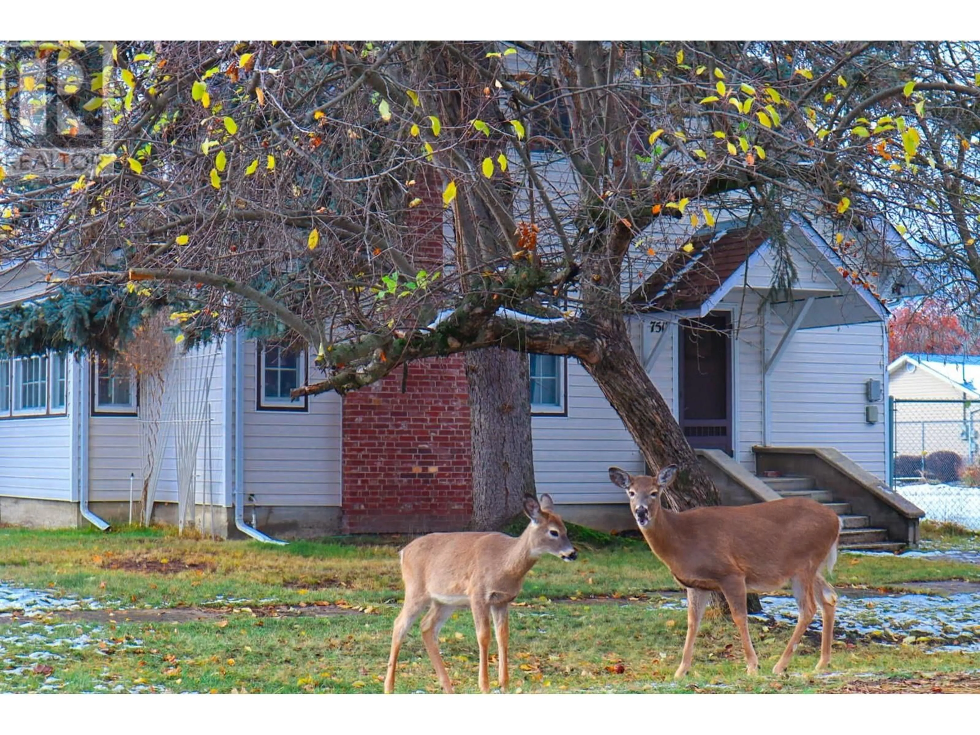 Frontside or backside of a home, the fenced backyard for 7517 6th Street, Grand Forks British Columbia V0H1H0