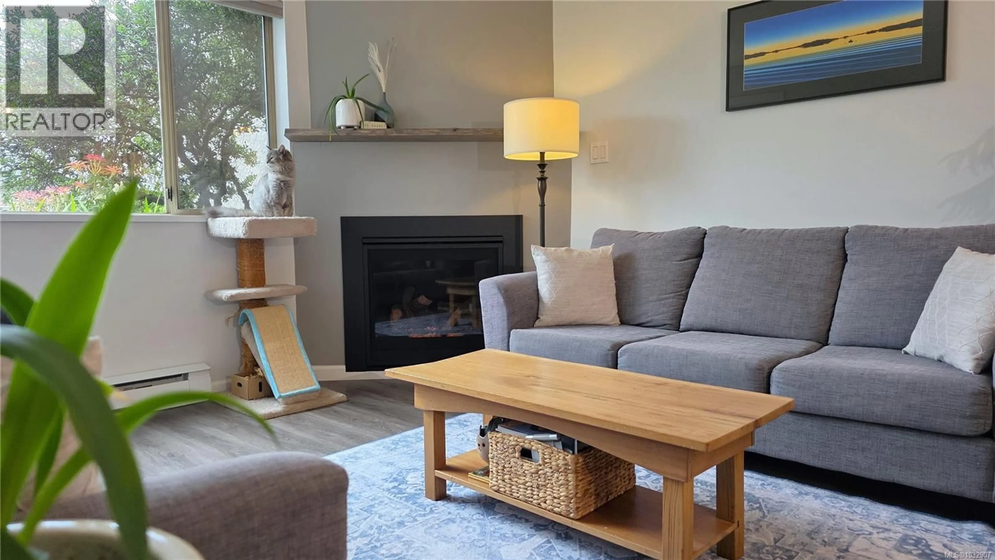 Living room with furniture, wood/laminate floor for 101 - 3400 QUADRA STREET, Saanich British Columbia V8Z6E3