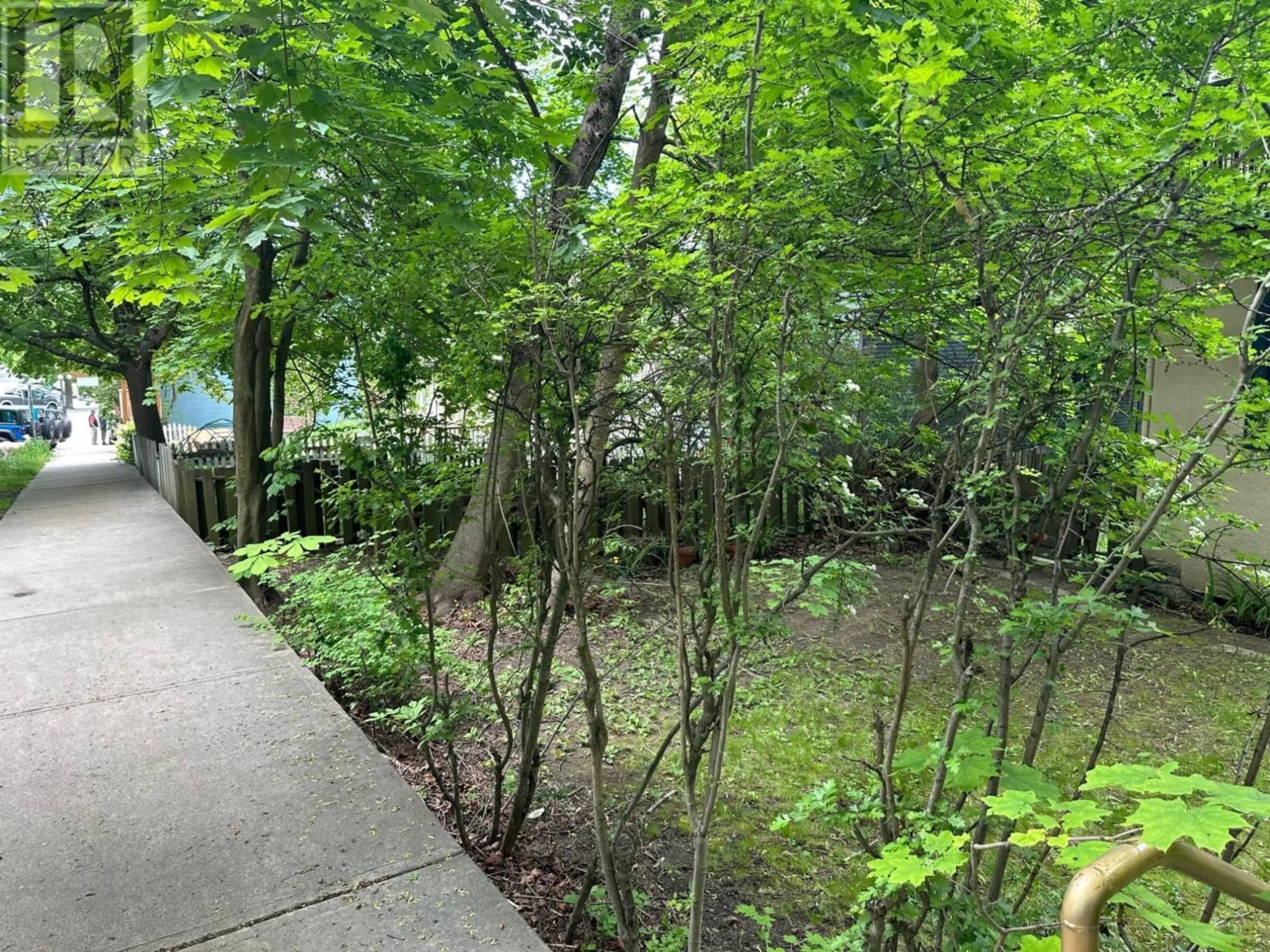 Patio, forest/trees view for 815 BAKER STREET, Nelson British Columbia V1L4J8