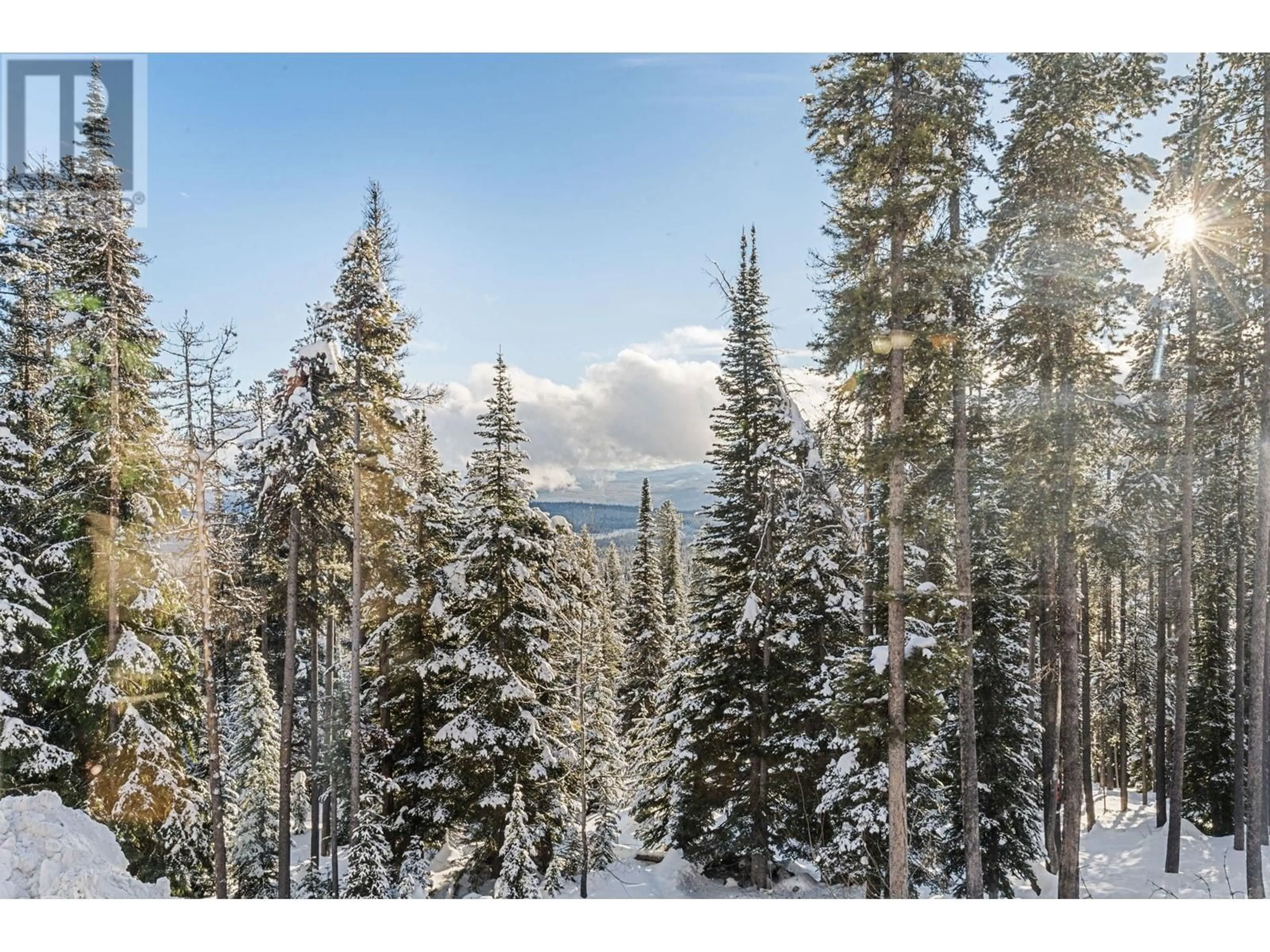 Unknown for 211 - 225 KETTLE VIEW ROAD, Big White British Columbia V1P1P3