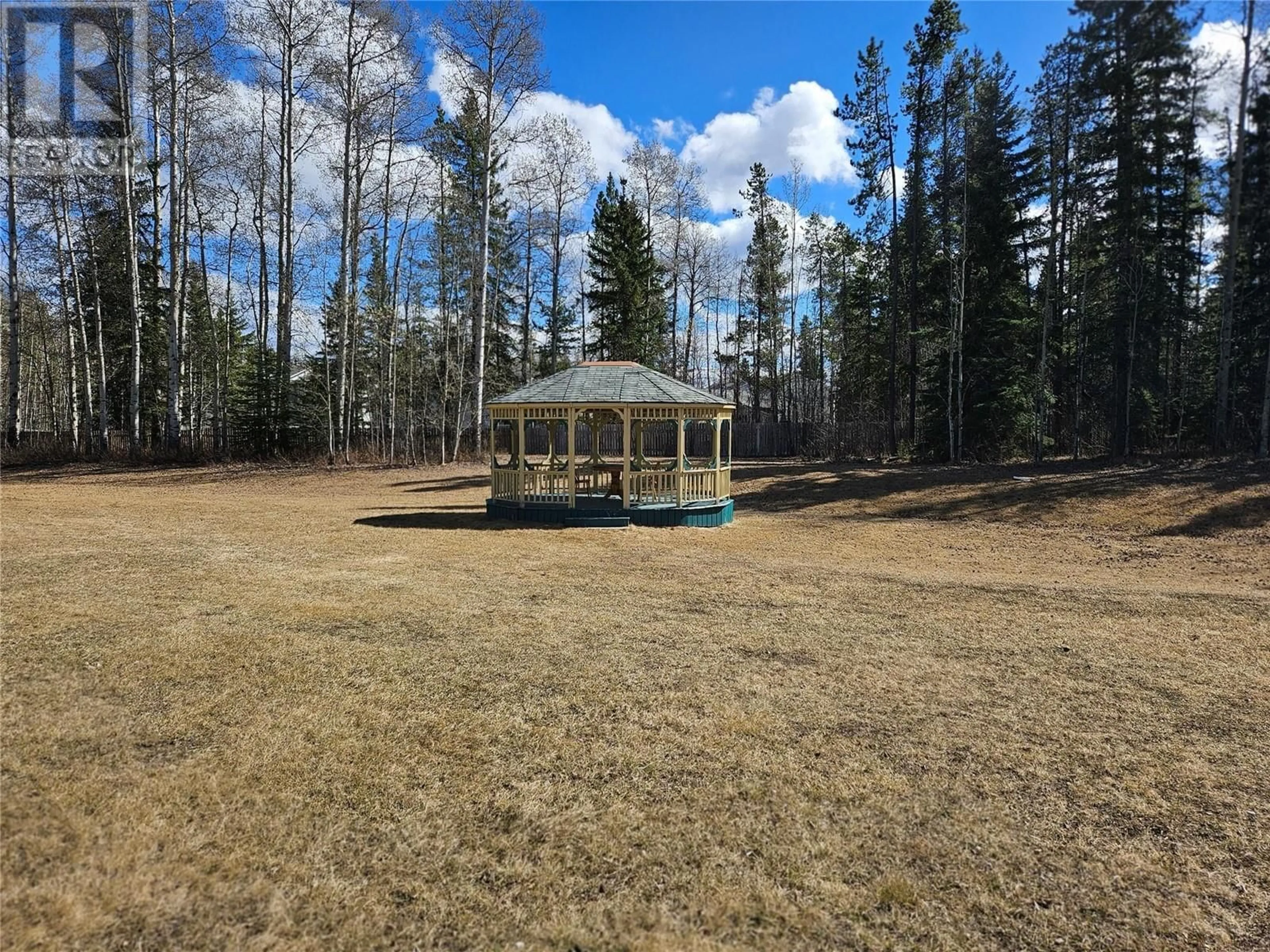 A pic from outside/outdoor area/front of a property/back of a property/a pic from drone, forest/trees view for 115 212 Spieker Avenue, Tumbler Ridge British Columbia V0C2W0