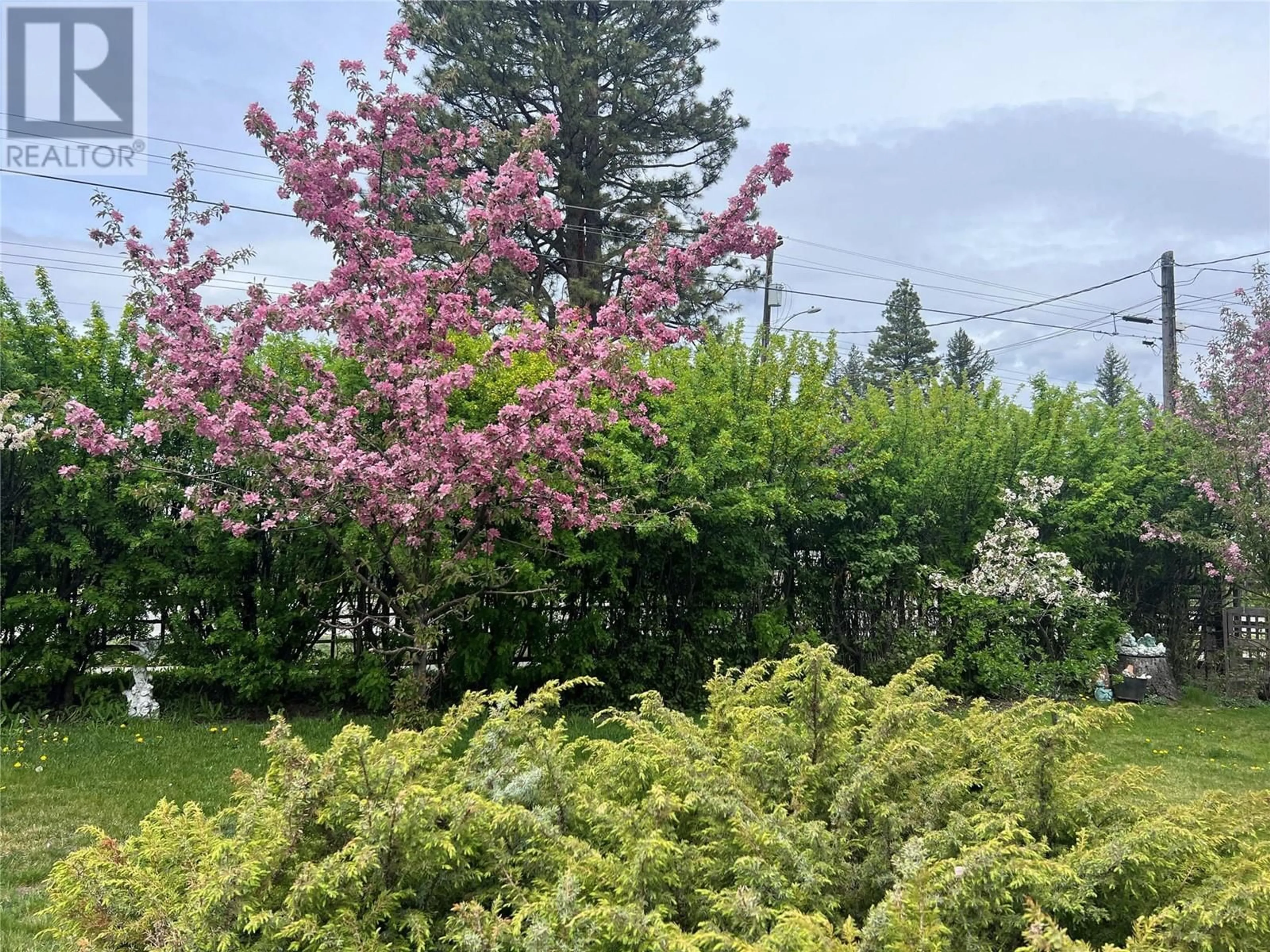 Unknown for 232 14TH AVENUE, Cranbrook British Columbia V1C2X2