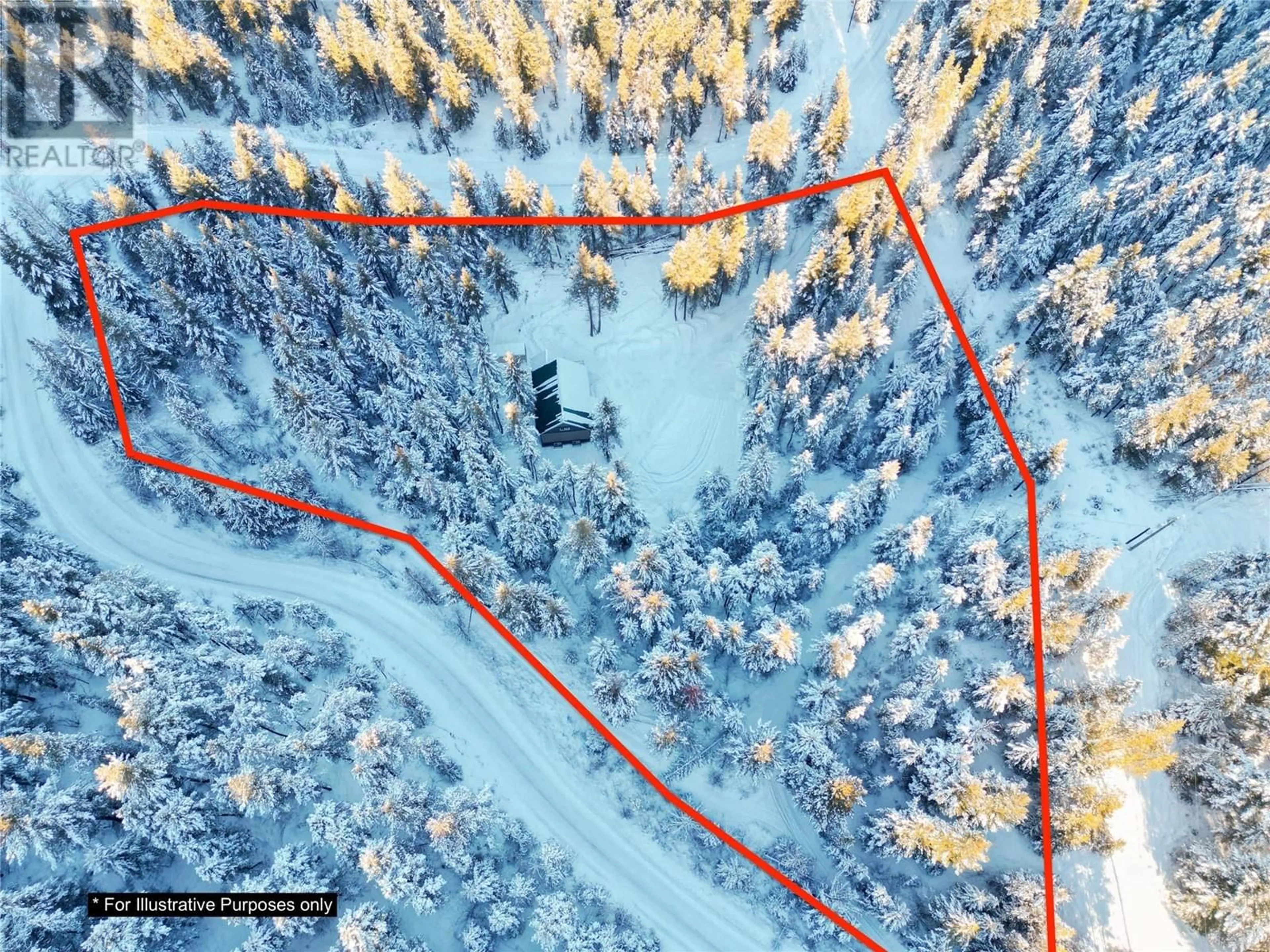 A pic from outside/outdoor area/front of a property/back of a property/a pic from drone, forest/trees view for 8 - 1500 BLAKEBURN ROAD, Coalmont-Tulameen British Columbia V0X1G0