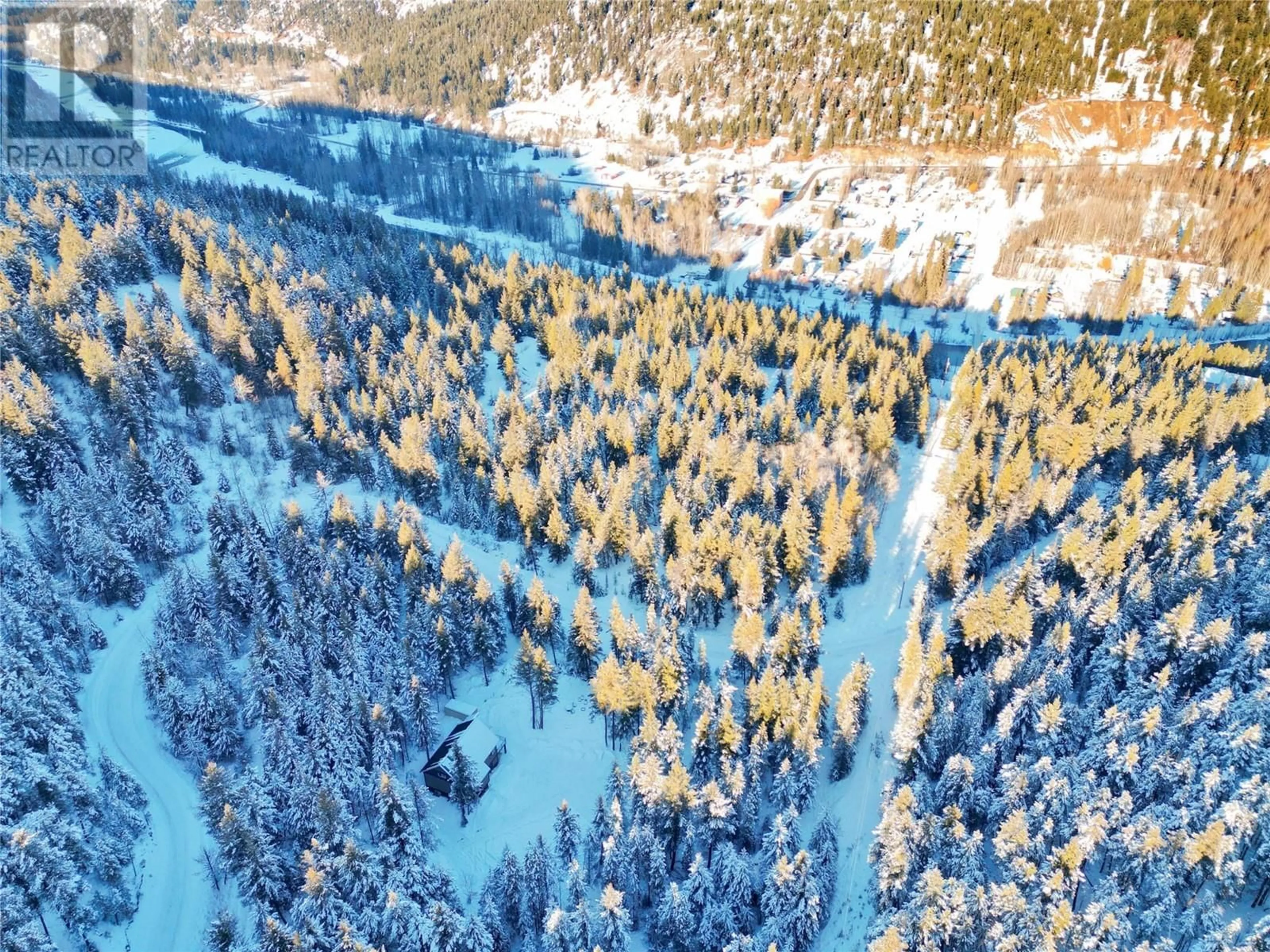 A pic from outside/outdoor area/front of a property/back of a property/a pic from drone, forest/trees view for 8 - 1500 BLAKEBURN ROAD, Coalmont-Tulameen British Columbia V0X1G0