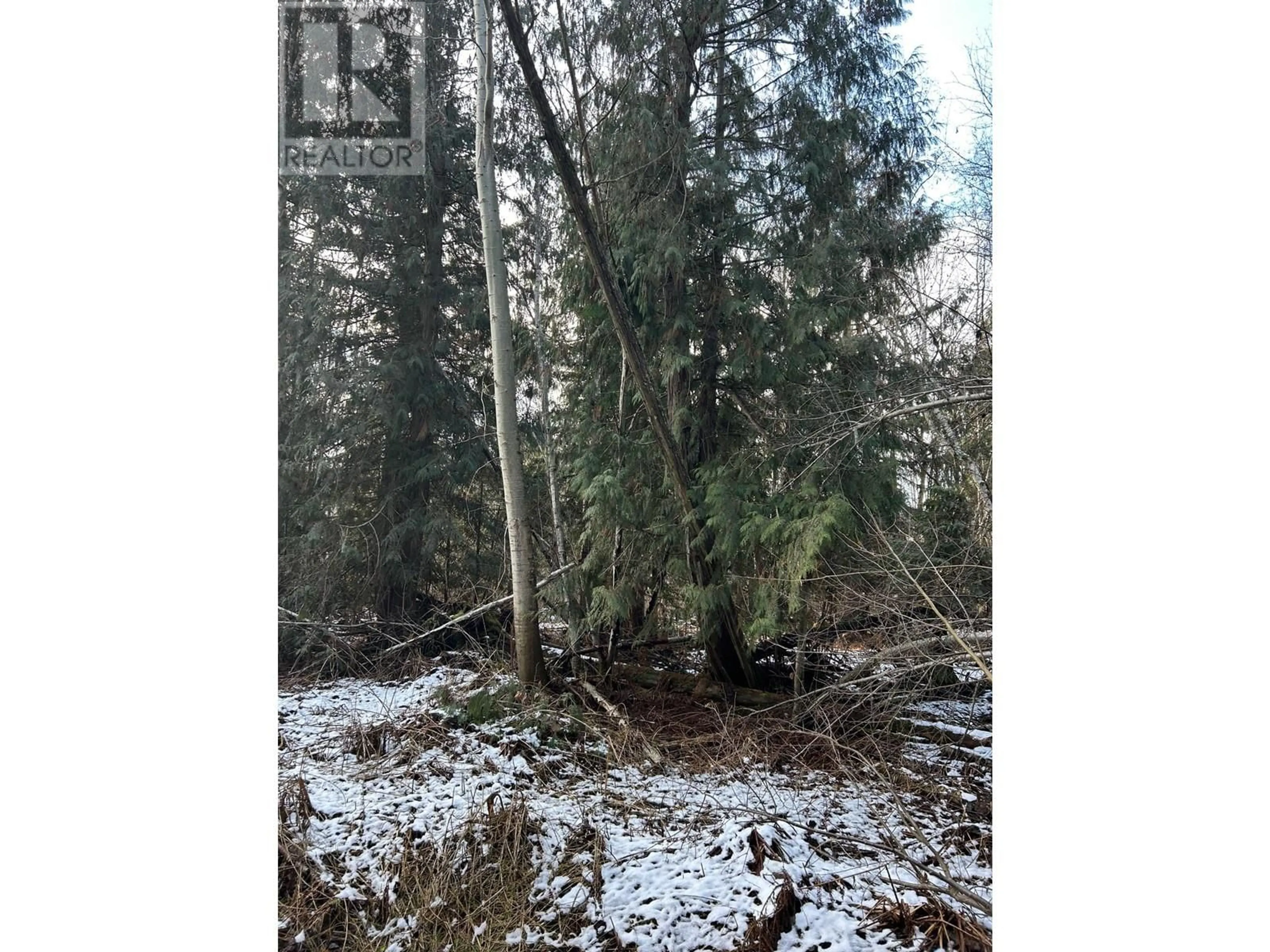 Blurry image for 3854 Trinity Valley Road, Enderby British Columbia V0E1V5