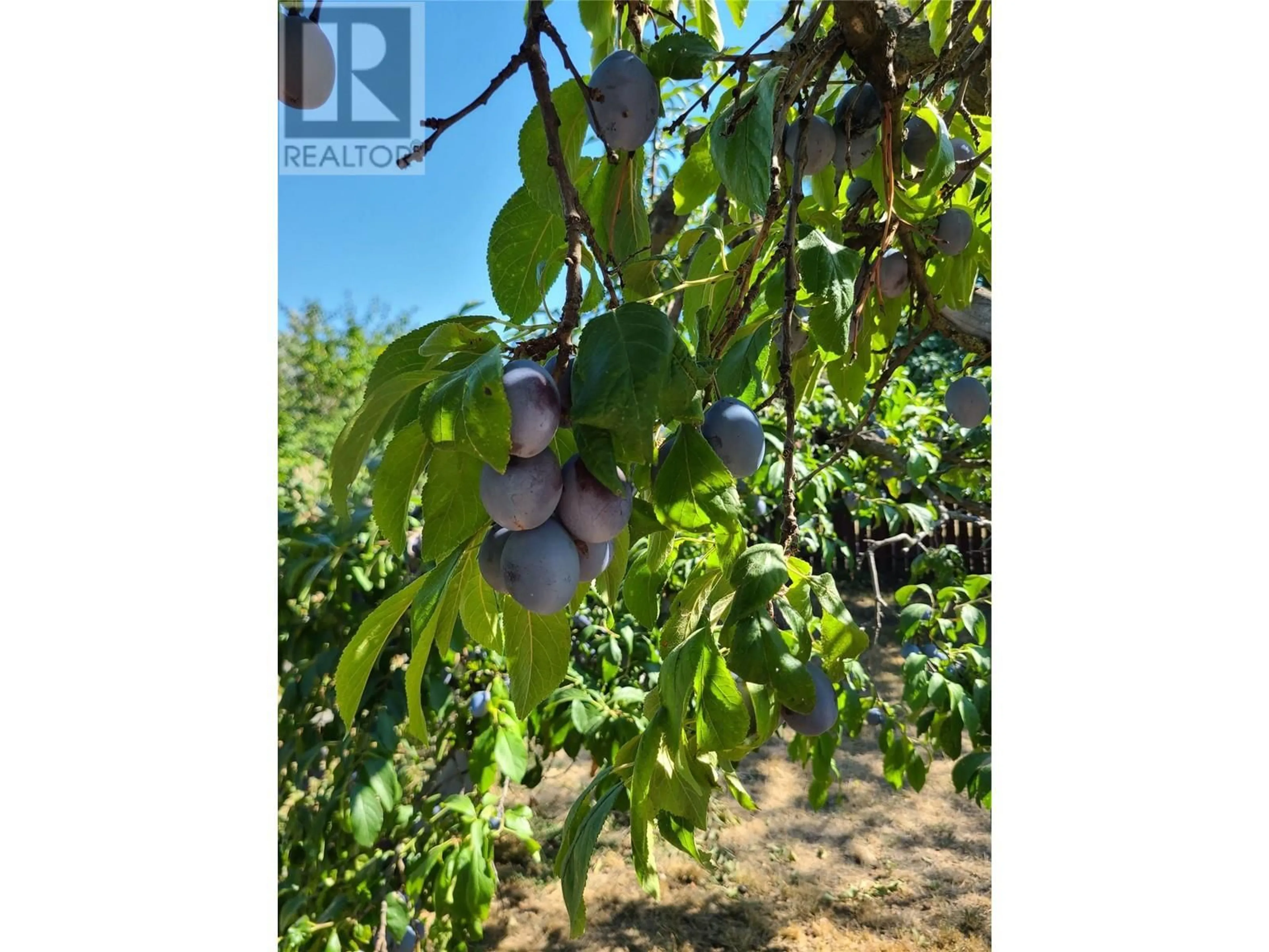 Blurry image for 766 COOPLAND CRESCENT, Kelowna British Columbia V1Y2V1