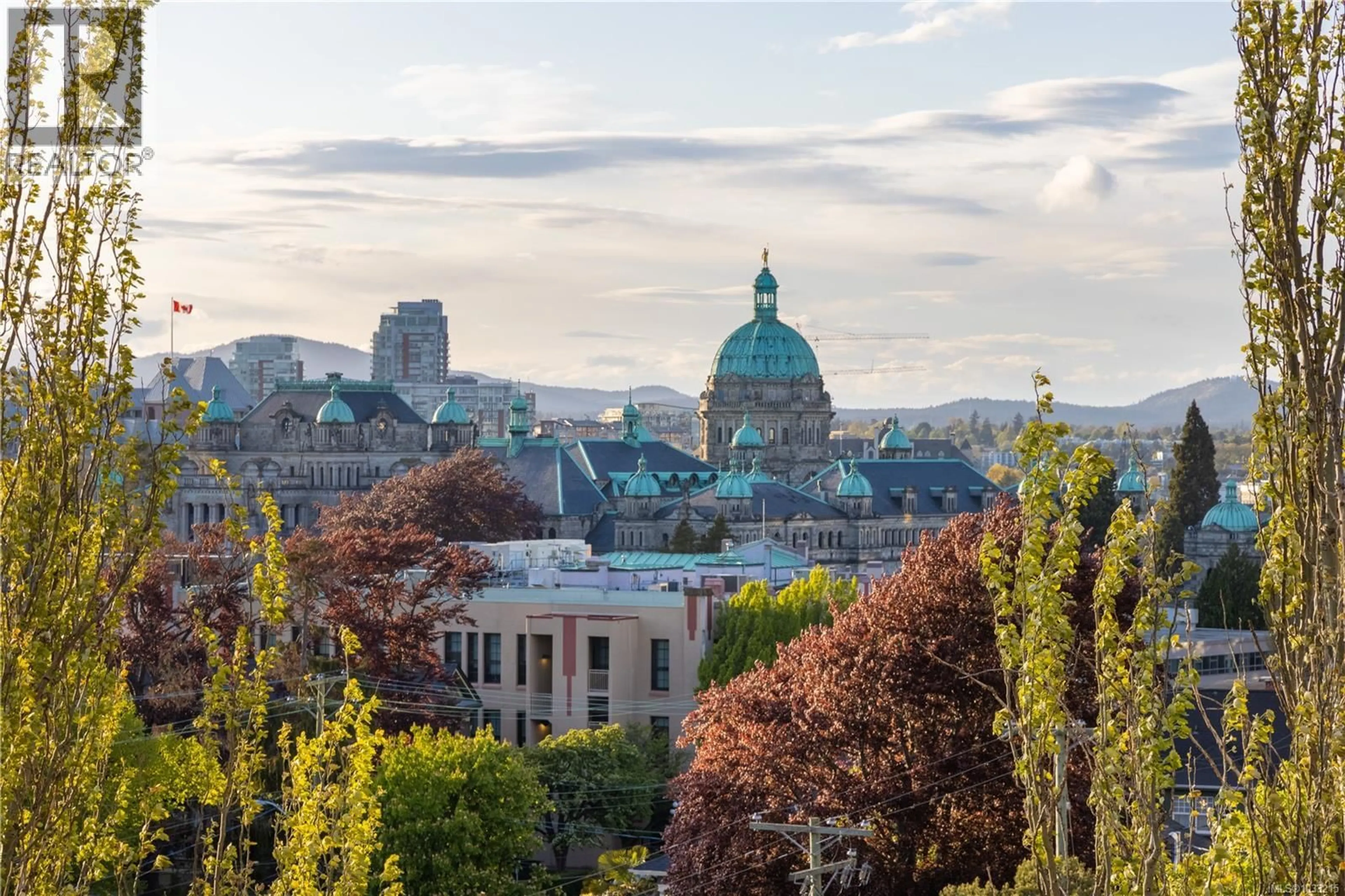 Blurry image for 705 - 620 TORONTO STREET, Victoria British Columbia V8V1P7