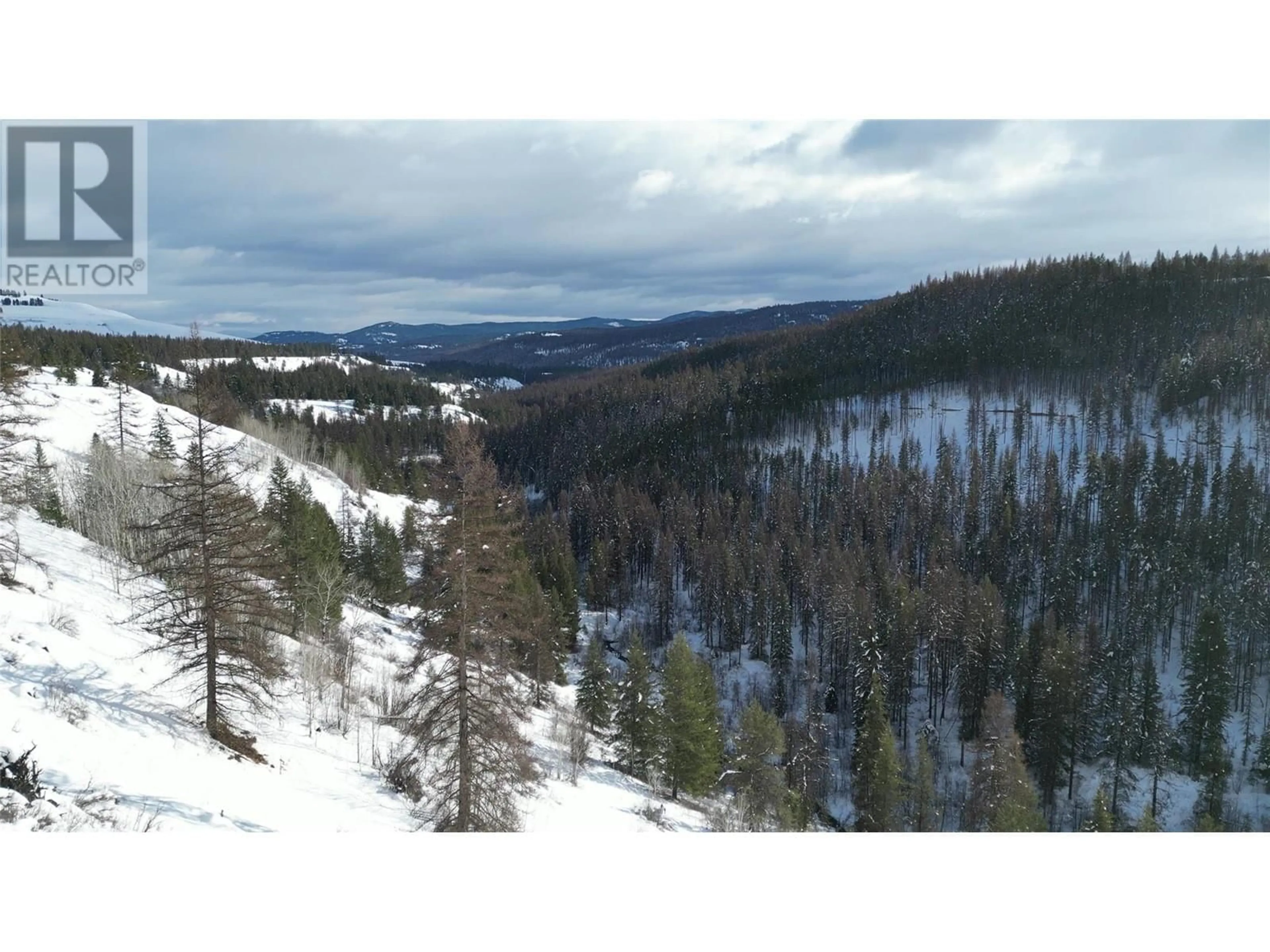 A pic from outside/outdoor area/front of a property/back of a property/a pic from drone, forest/trees view for 5630 BURTON ROAD, Bridesville British Columbia V0H1Y0