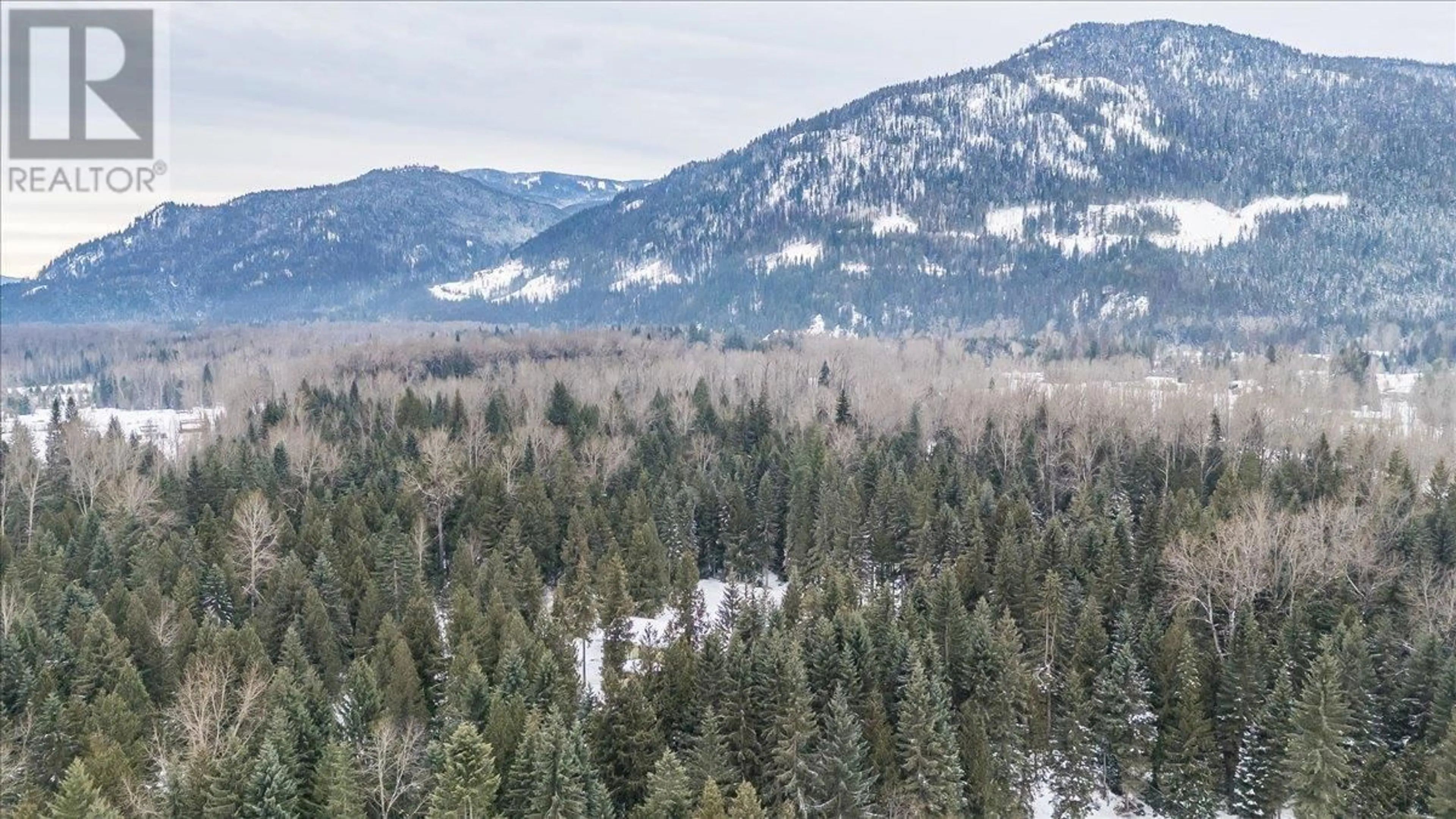 A pic from outside/outdoor area/front of a property/back of a property/a pic from drone, forest/trees view for 10 - 916 AIRPORT ROAD HIGHWAY, Salmo British Columbia V0G1Z0