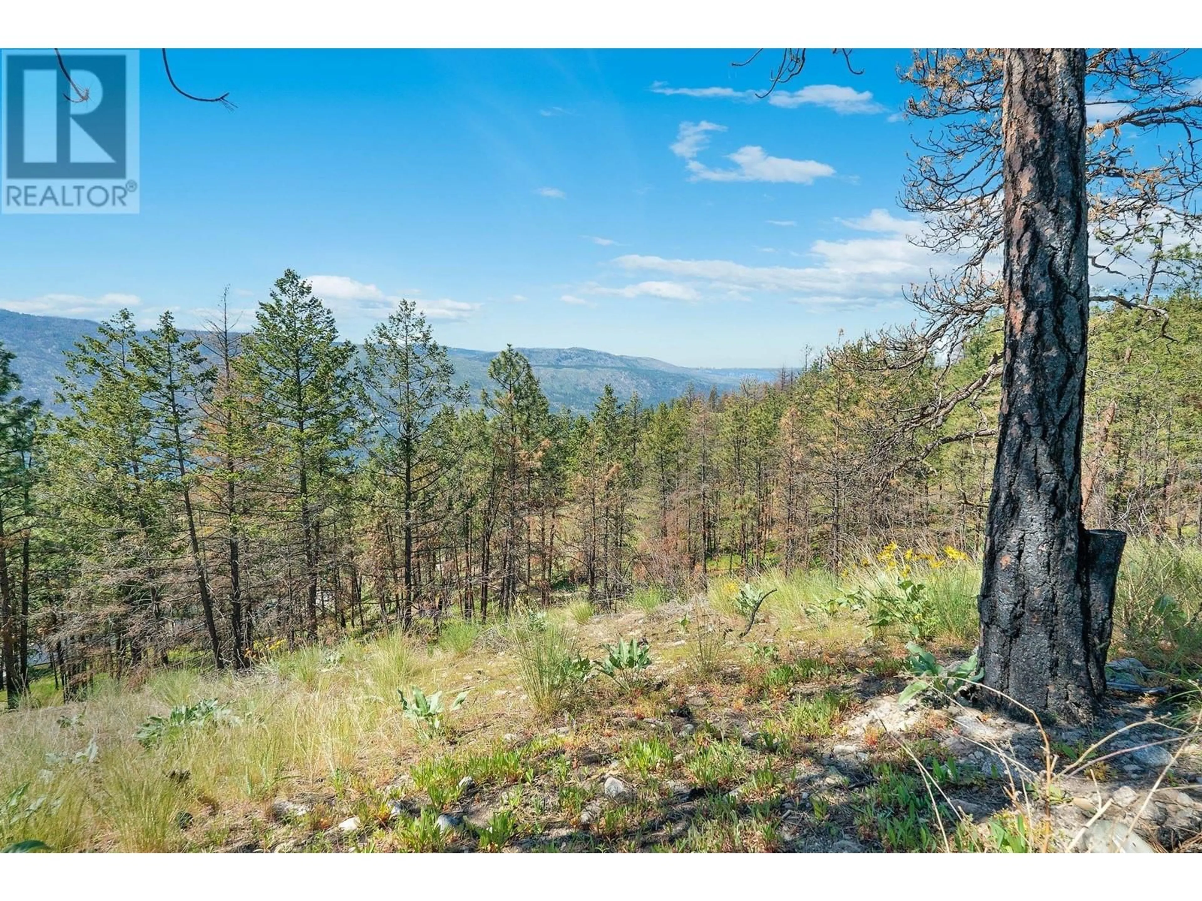 A pic from outside/outdoor area/front of a property/back of a property/a pic from drone, forest/trees view for 10138 BEACON HILL DRIVE, Lake Country British Columbia V4V0A9