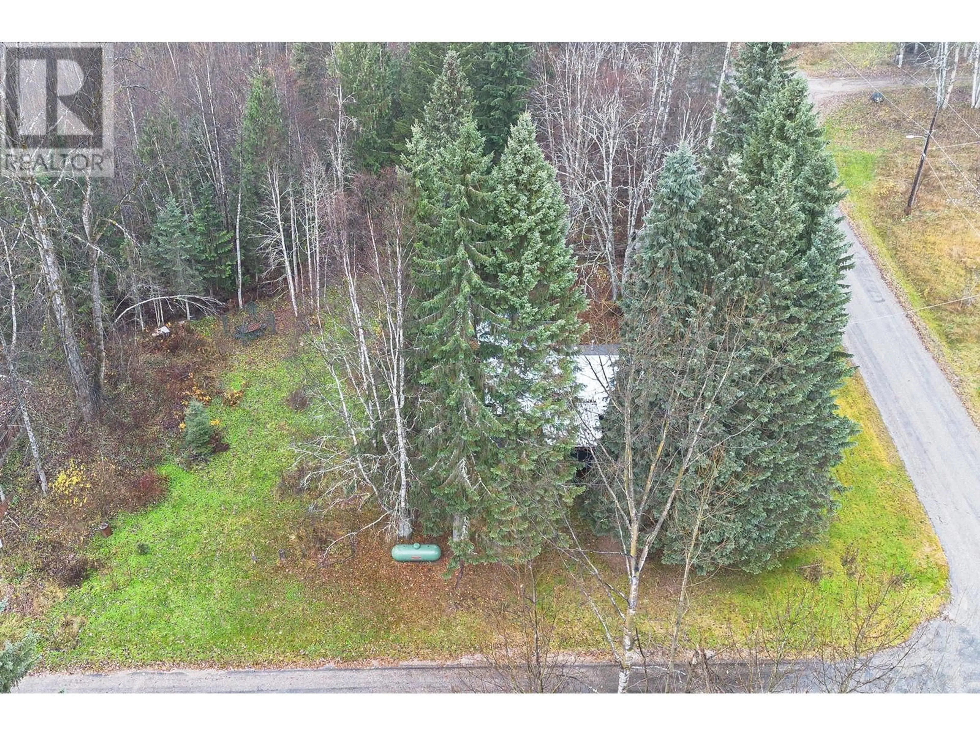 A pic from outside/outdoor area/front of a property/back of a property/a pic from drone, forest/trees view for 3777 FISHER Road Lot# 30 & 31, Blue River British Columbia V0E1C0