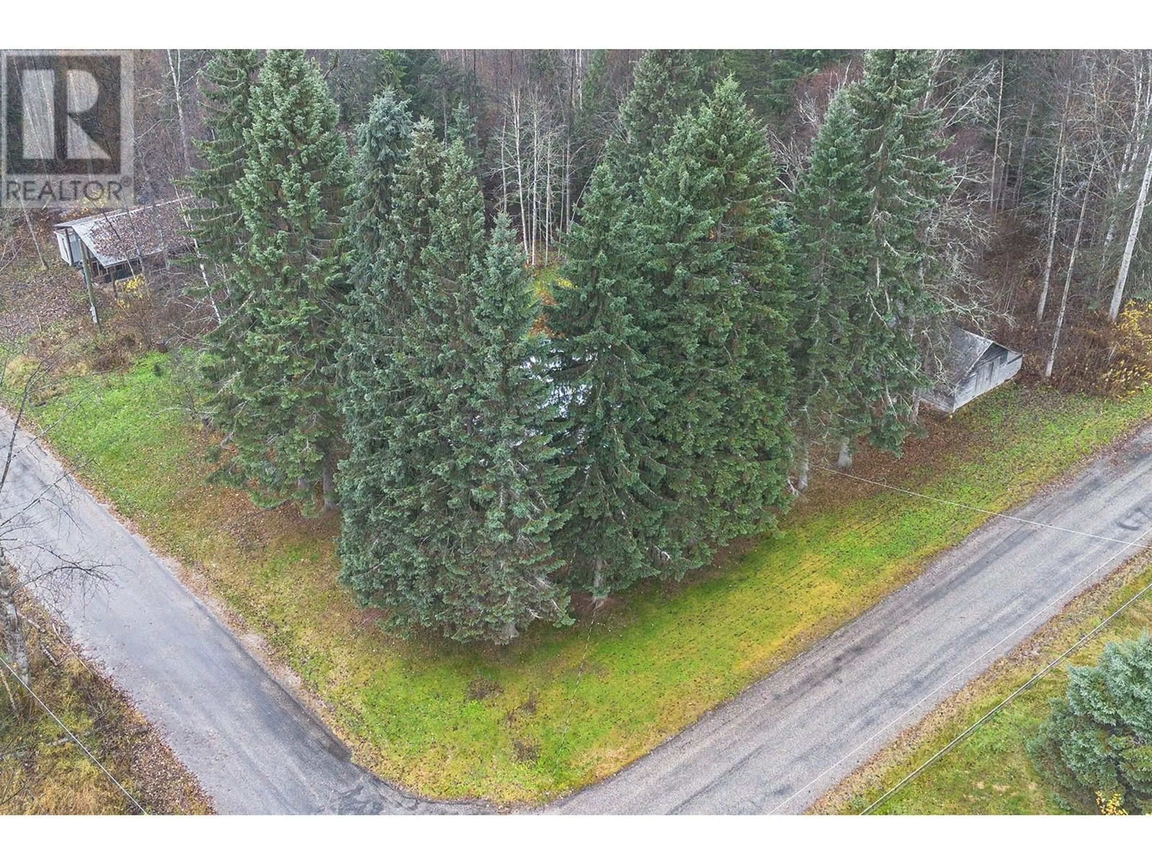 A pic from outside/outdoor area/front of a property/back of a property/a pic from drone, forest/trees view for 3777 FISHER Road Lot# 30 & 31, Blue River British Columbia V0E1C0