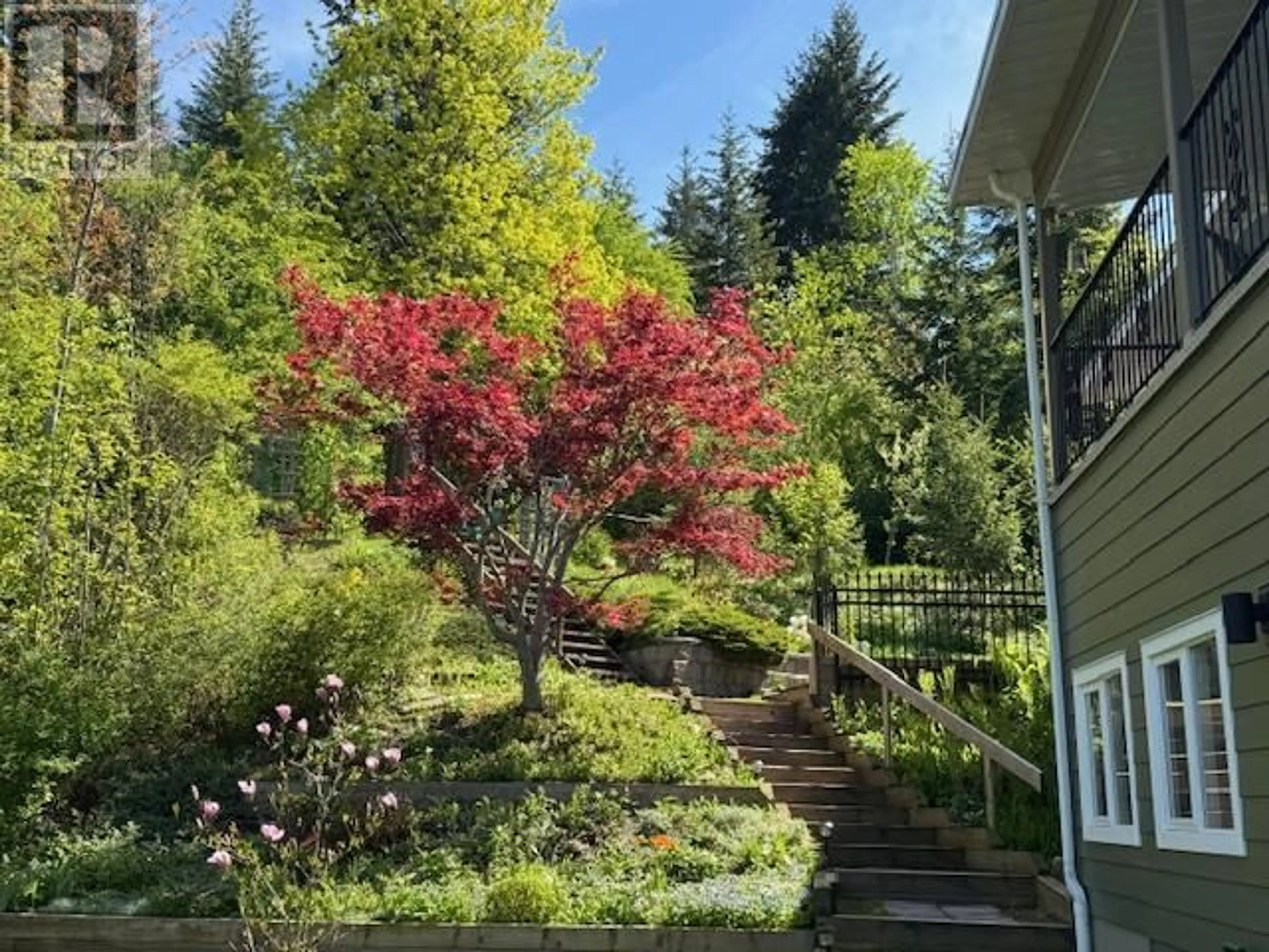 A pic from outside/outdoor area/front of a property/back of a property/a pic from drone, forest/trees view for 1280 LAKESHORE ROAD NORTHEAST, Salmon Arm British Columbia V1E2V7