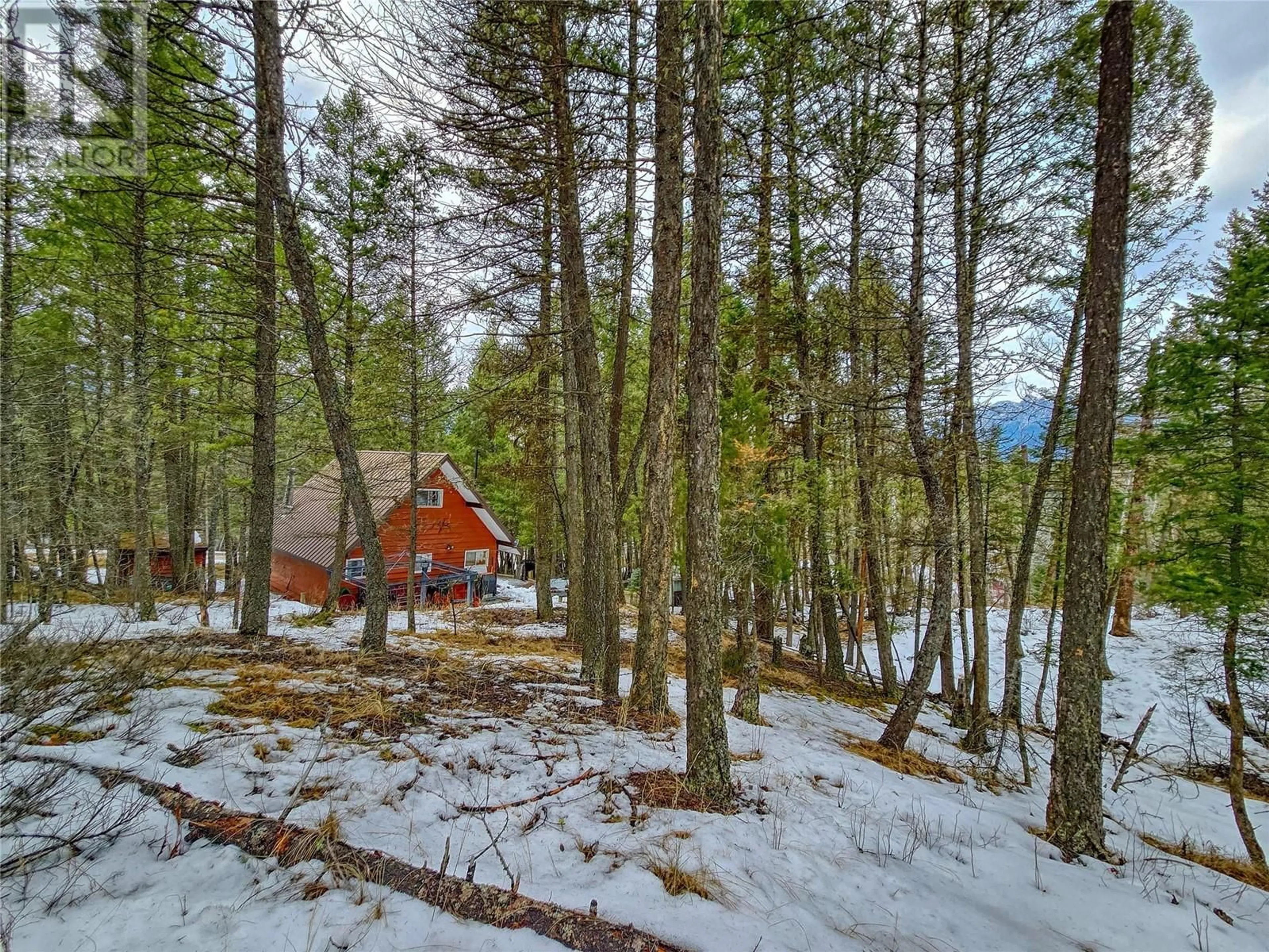 A pic from outside/outdoor area/front of a property/back of a property/a pic from drone, forest/trees view for 4362 Szabo Road, Spur Valley British Columbia V0A1E0