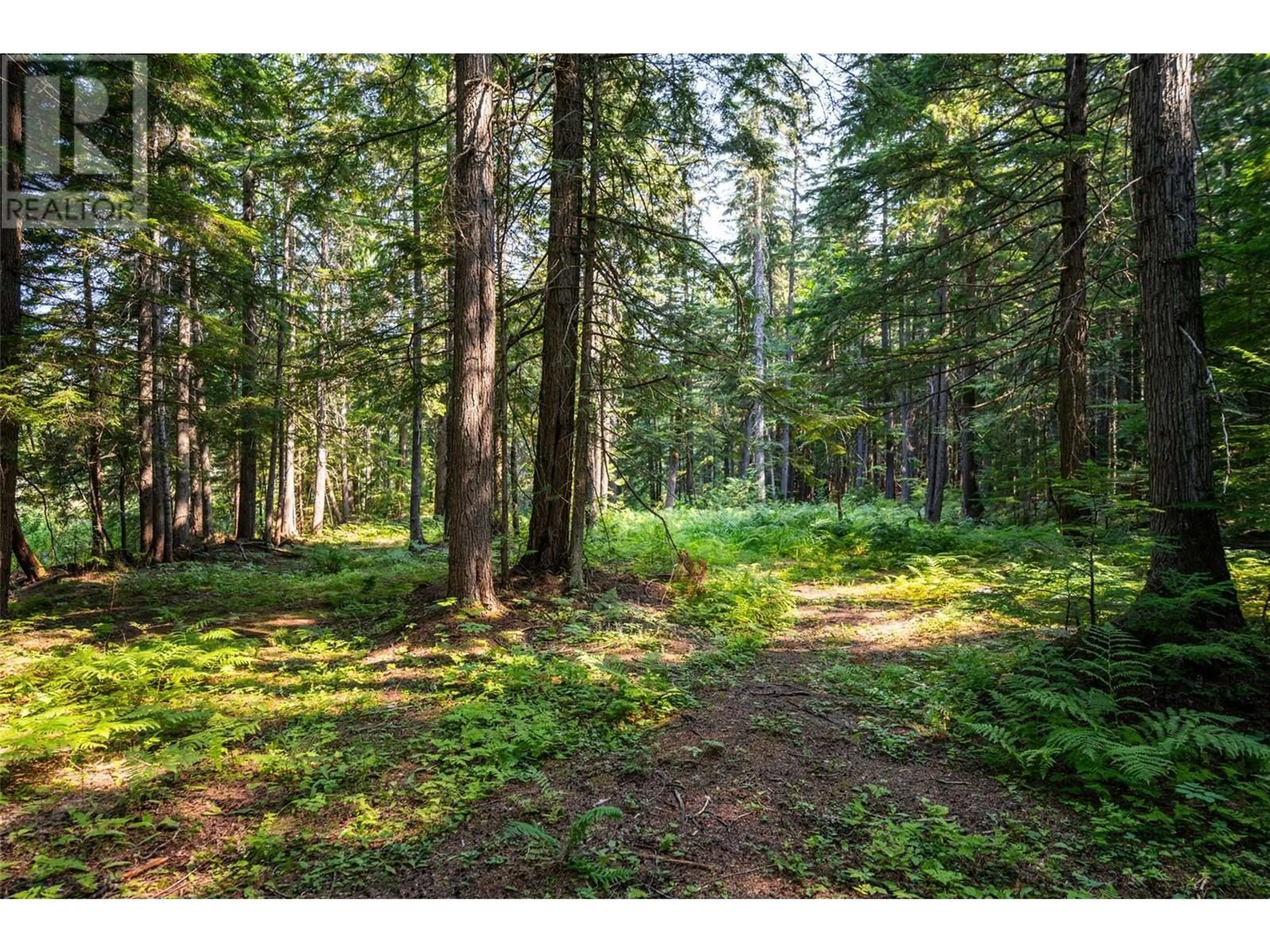 Unknown for 1750 HIGHWAY 23 SOUTH HIGHWAY SOUTH, Revelstoke British Columbia V0E2S0