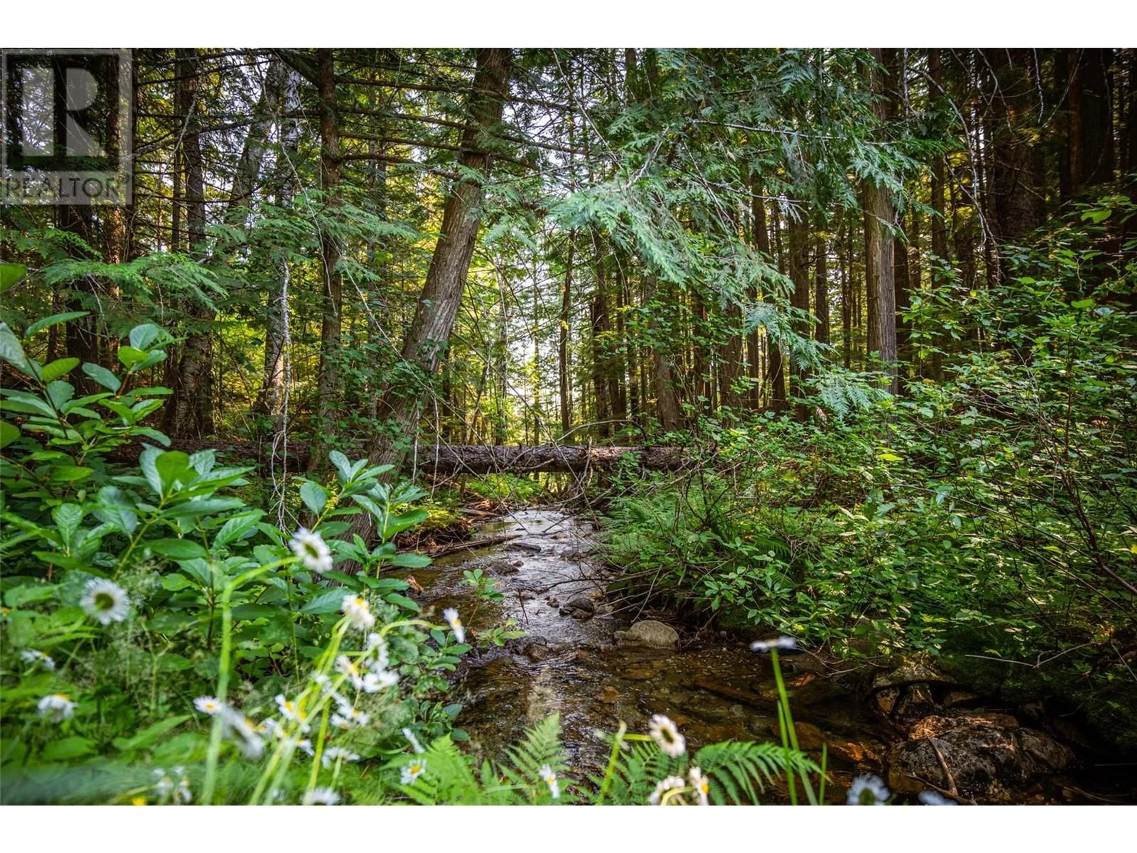 Unknown for 1750 HIGHWAY 23 SOUTH HIGHWAY SOUTH, Revelstoke British Columbia V0E2S0