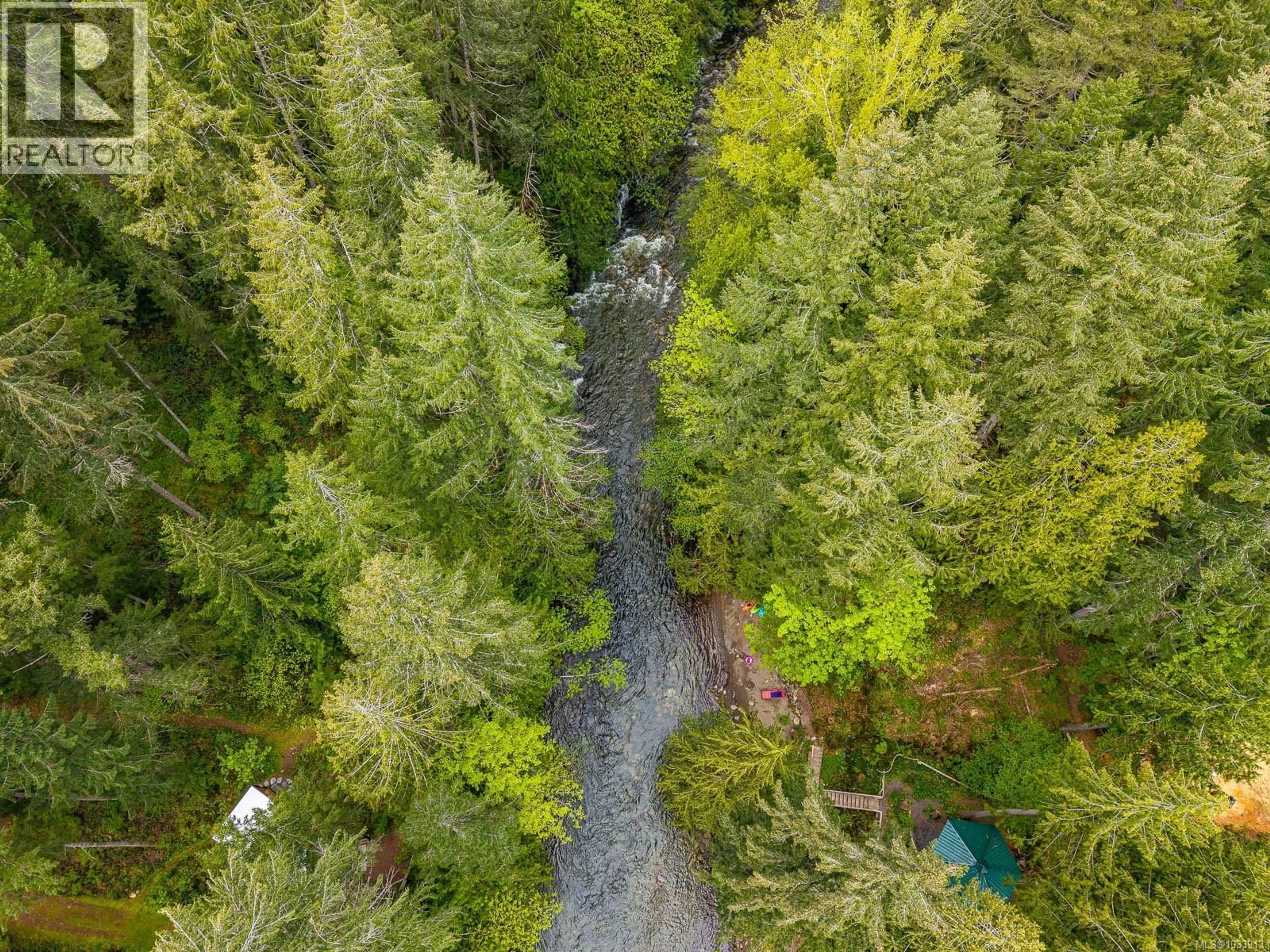 A pic from outside/outdoor area/front of a property/back of a property/a pic from drone, forest/trees view for 4010 FORBIDDEN PLATEAU ROAD, Courtenay British Columbia V9J1P9