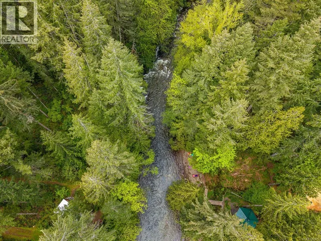 4010 FORBIDDEN PLATEAU ROAD, Courtenay 2