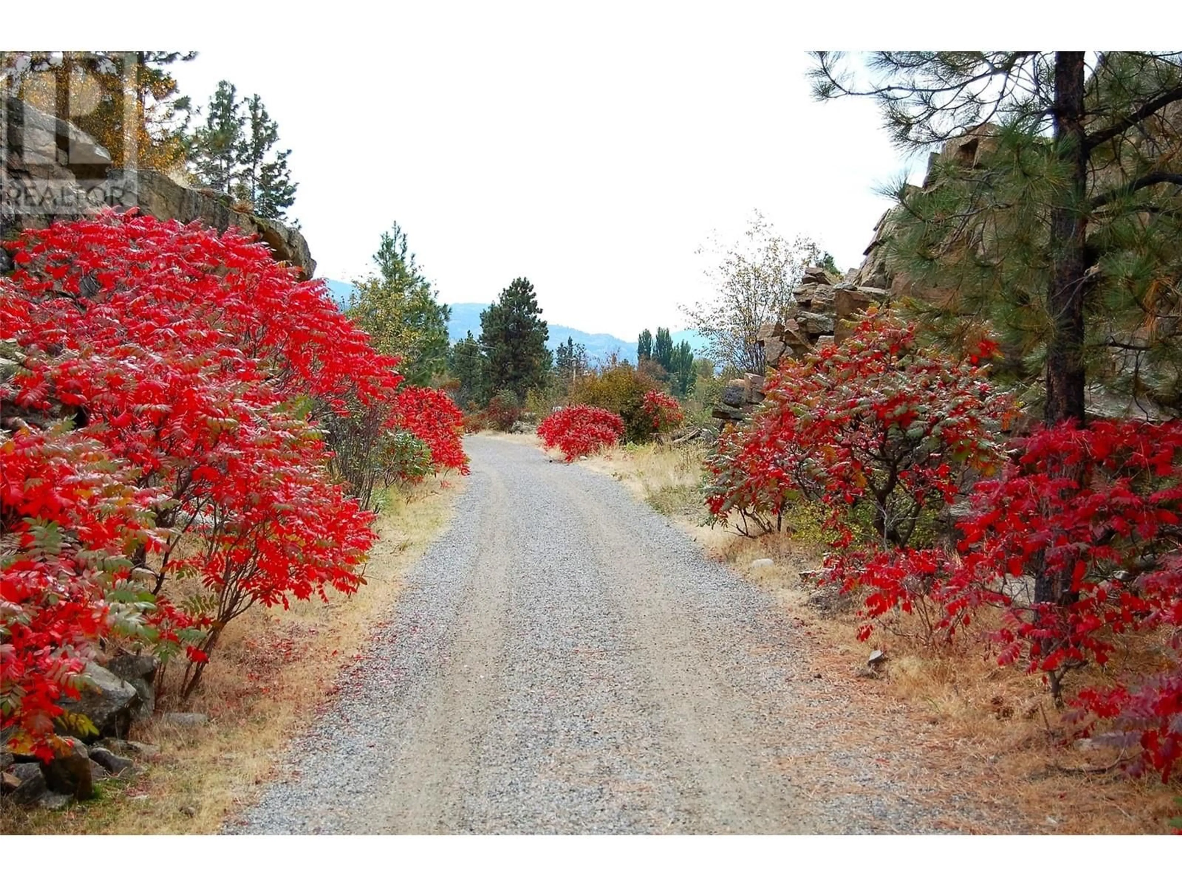 Blurry image for 2502 WINIFRED ROAD, Naramata British Columbia V0H1N1