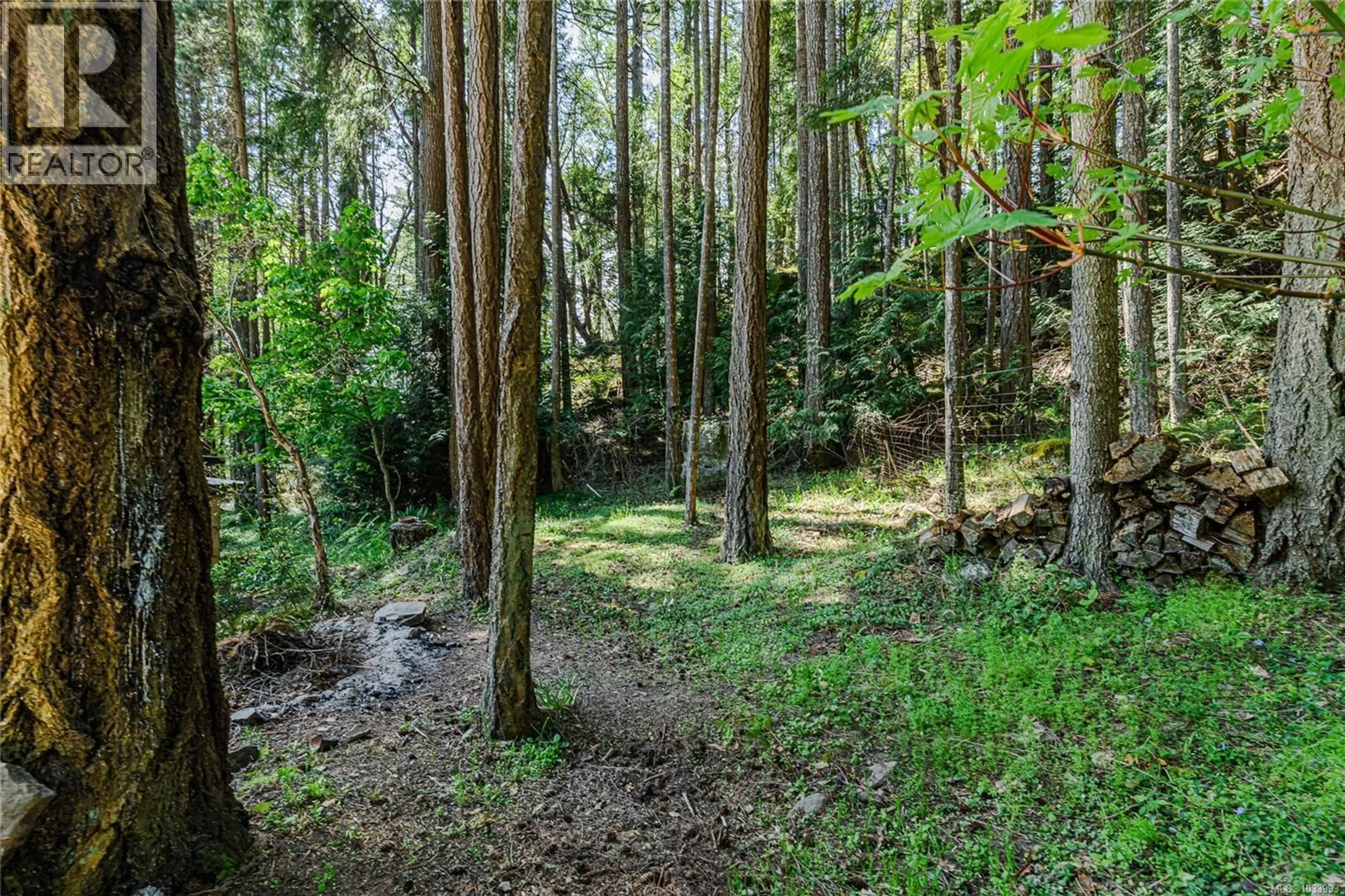 A pic from outside/outdoor area/front of a property/back of a property/a pic from drone, forest/trees view for 128 SUNSET DRIVE, Salt Spring British Columbia V8K1L3