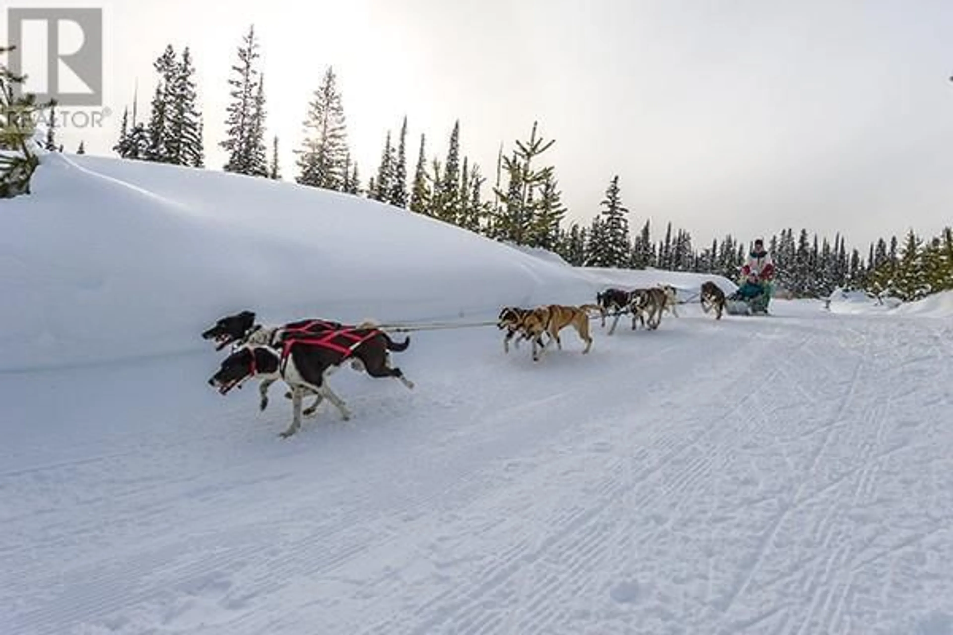 Blurry image for Lot 2 BLACK FOREST ROAD, Big White British Columbia V1P1P3