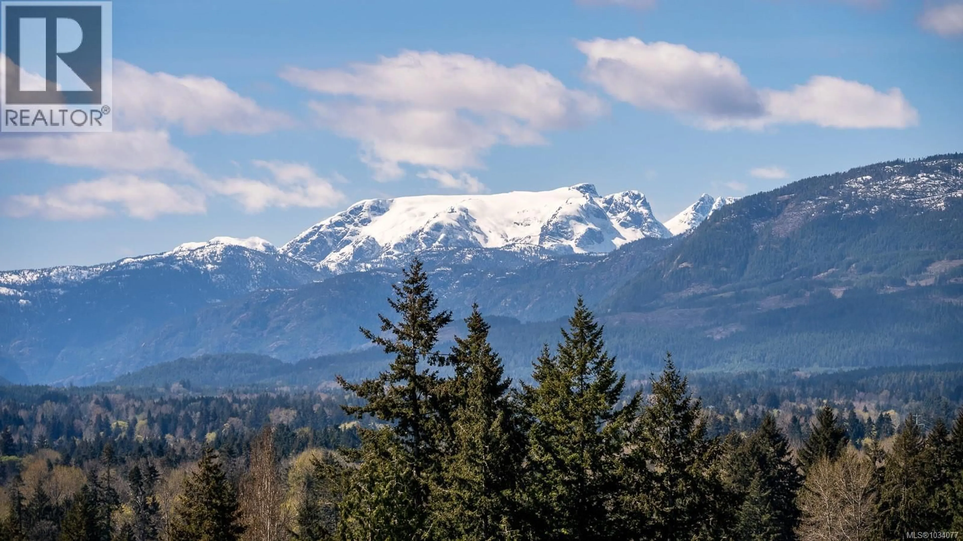 Blurry image for 231 STAFFORD AVENUE, Courtenay British Columbia V9N6Z6