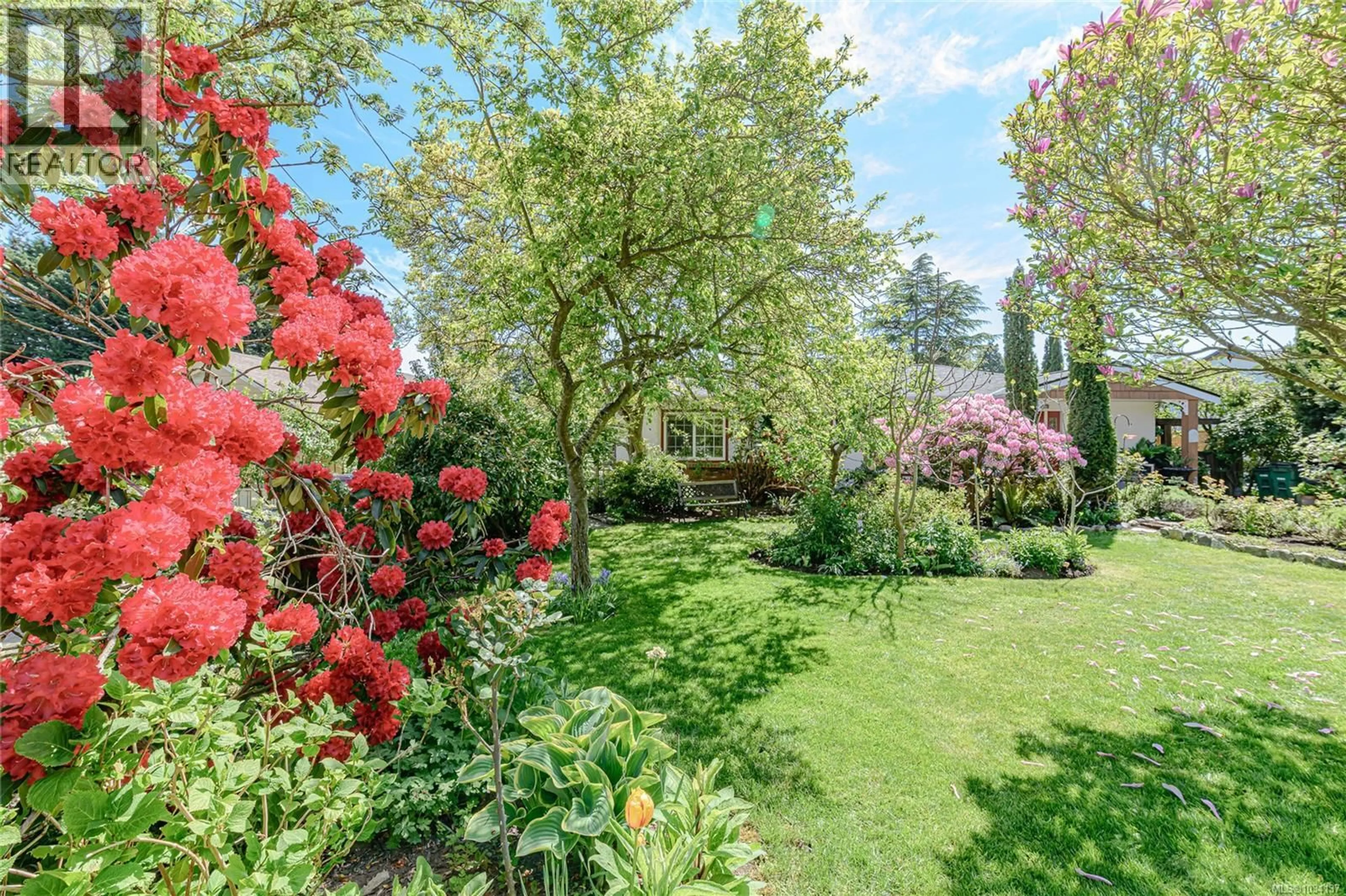Patio, forest/trees view for 987 MCBRIAR AVENUE, Saanich British Columbia V8X3M3