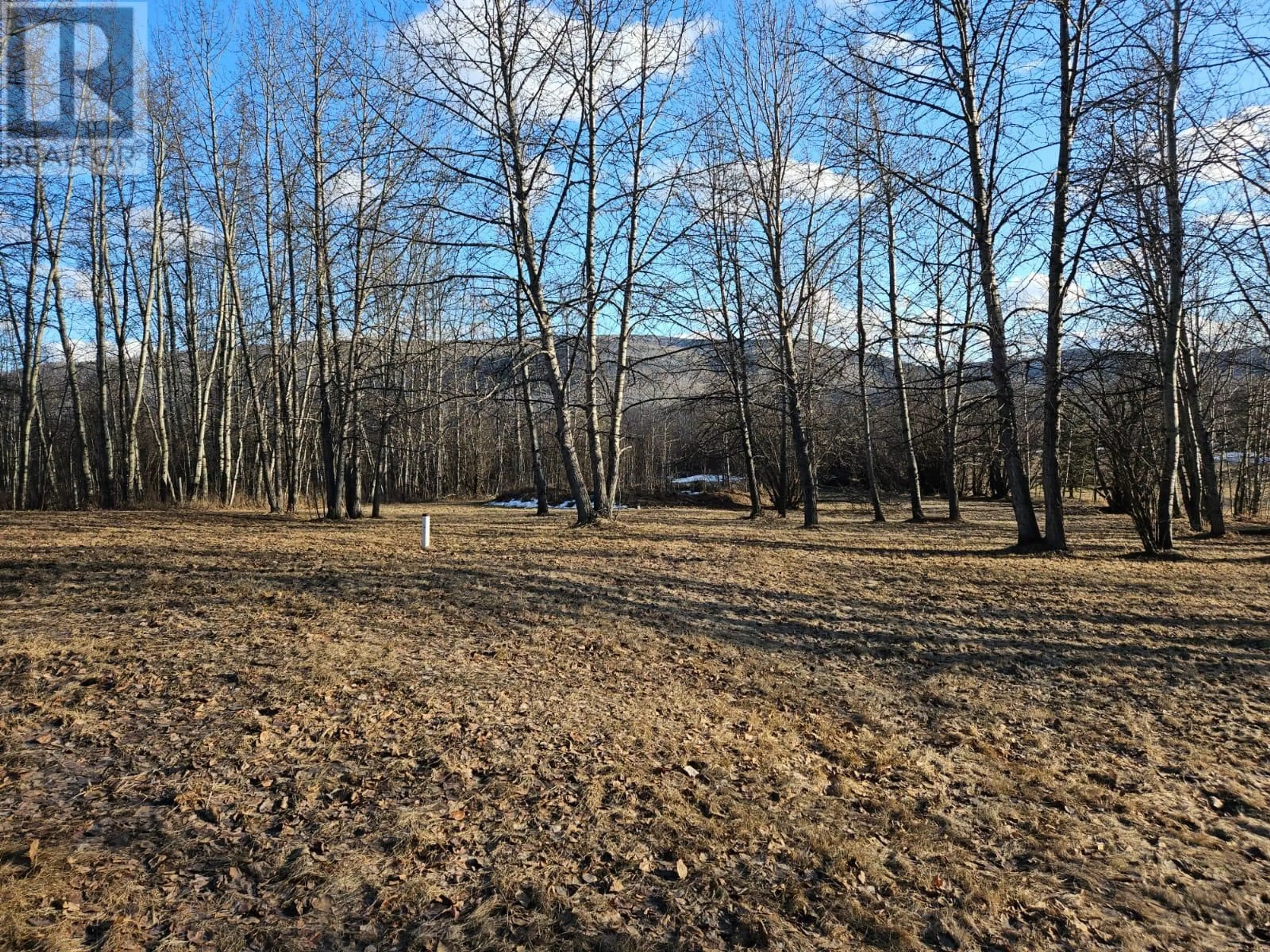 A pic from outside/outdoor area/front of a property/back of a property/a pic from drone, forest/trees view for 6327 WILDMARE OTHER, Chetwynd British Columbia V0C1J0