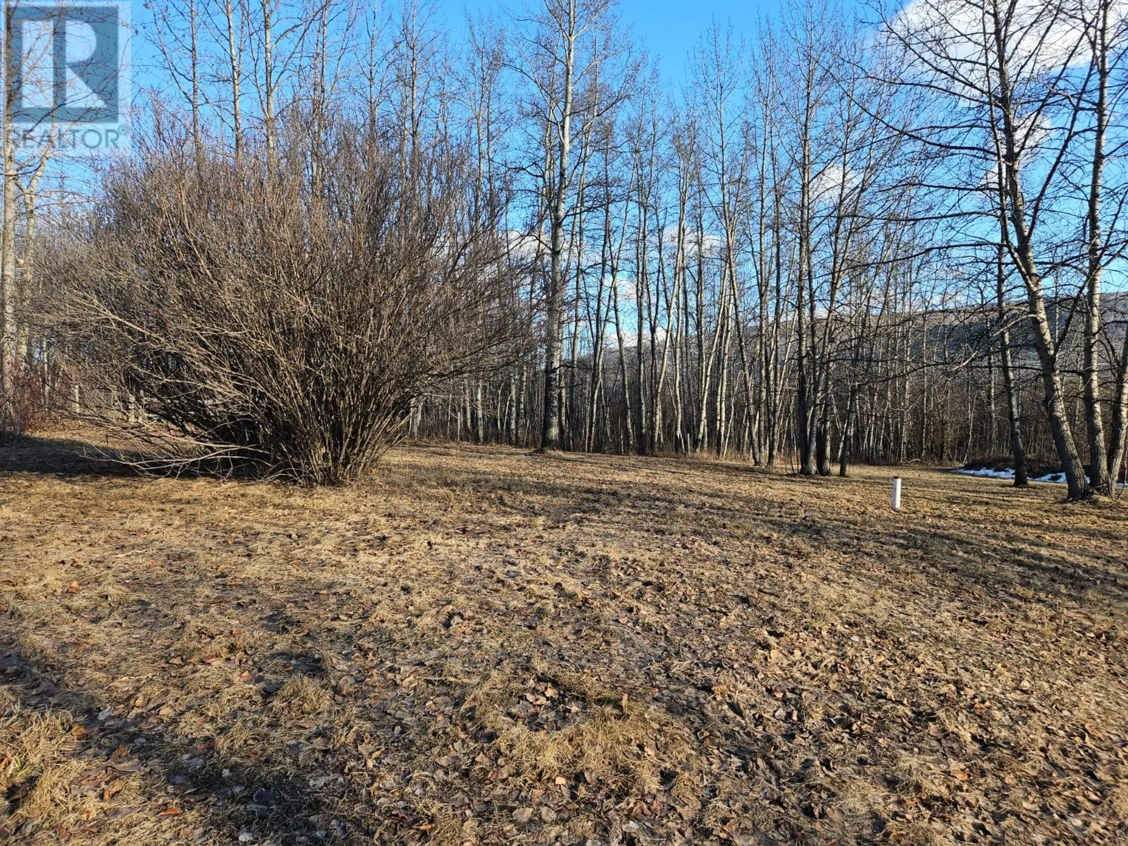 A pic from outside/outdoor area/front of a property/back of a property/a pic from drone, forest/trees view for 6327 WILDMARE OTHER, Chetwynd British Columbia V0C1J0