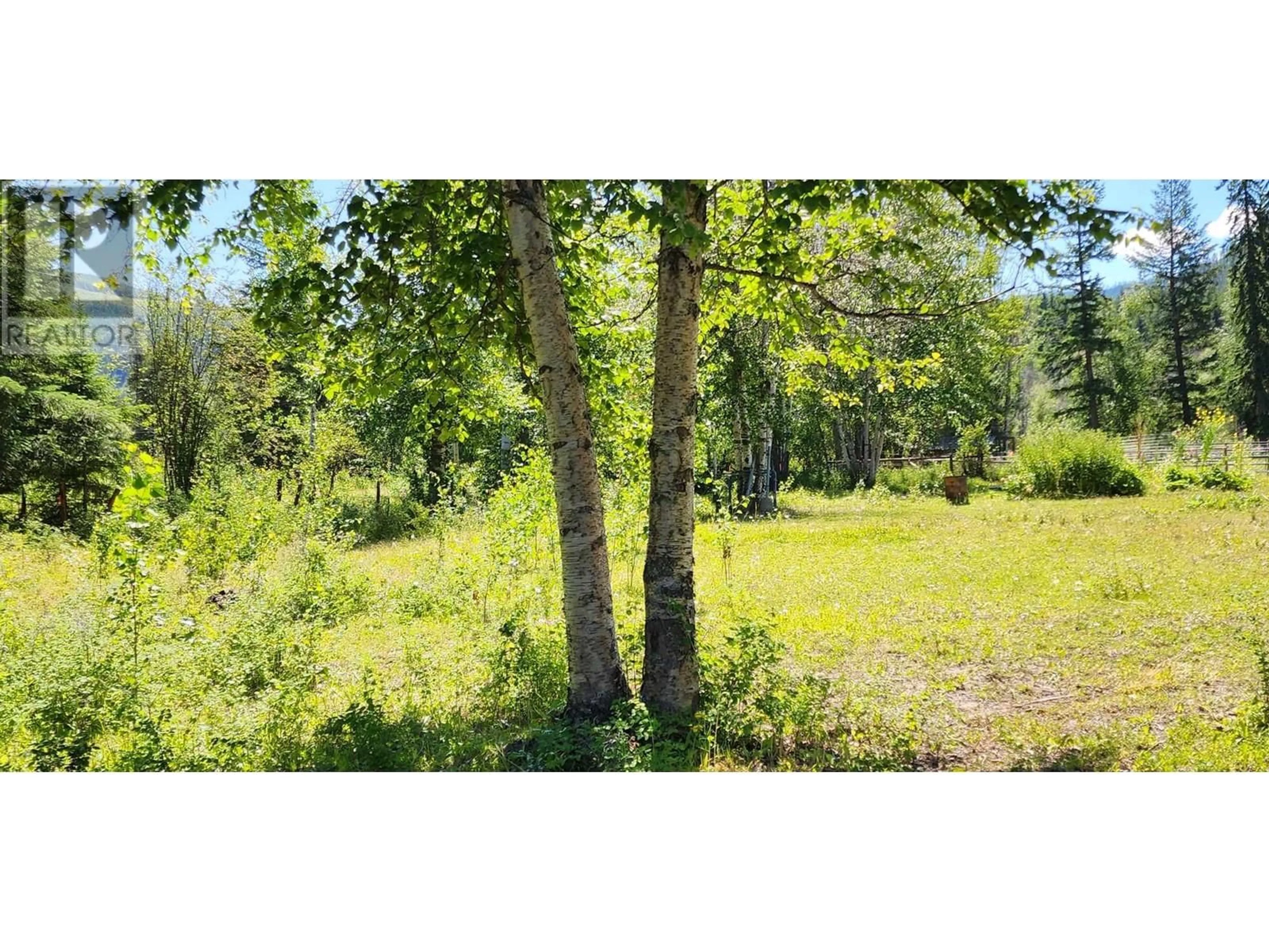 Blurry image for 20 DUNLEVY ROAD, Cherryville British Columbia V0E2G3