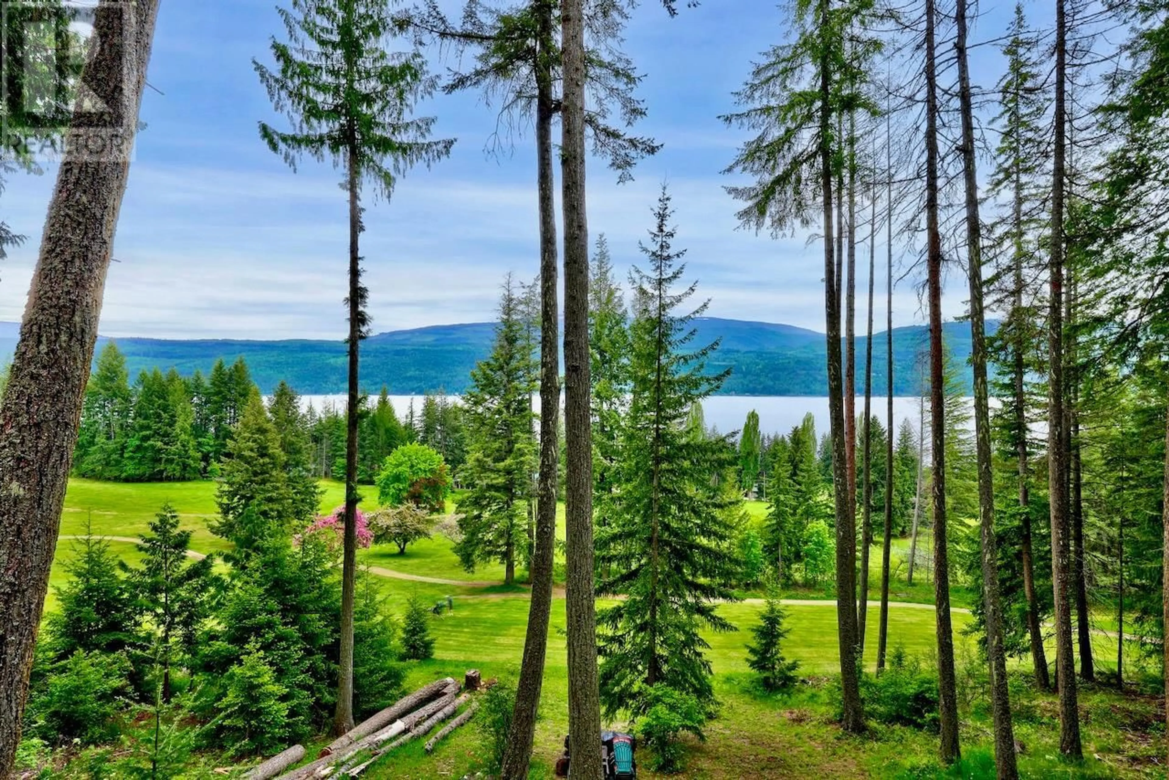 A pic from outside/outdoor area/front of a property/back of a property/a pic from drone, forest/trees view for 7730 COLUMBIA DRIVE, Anglemont British Columbia V0E1M8