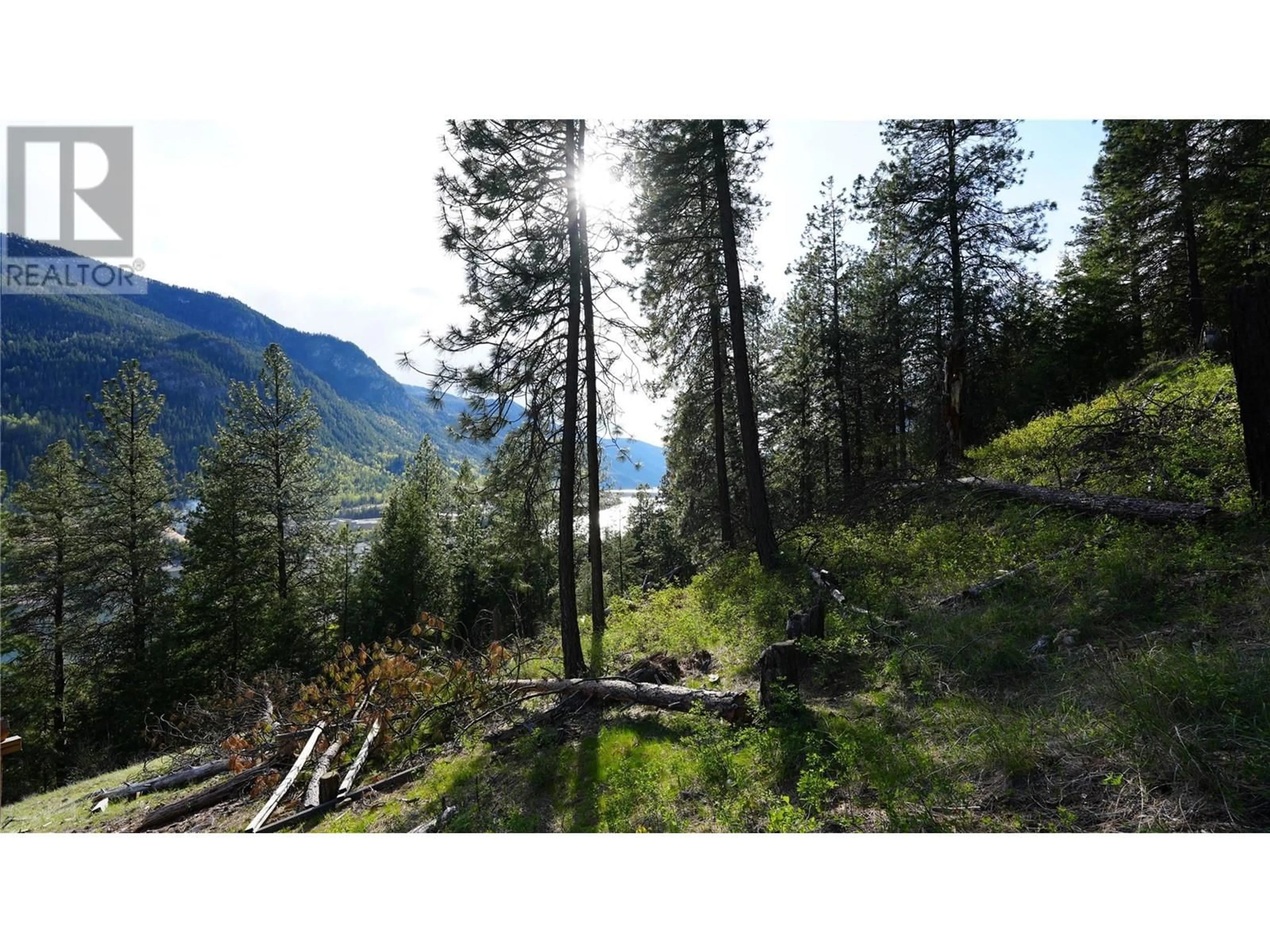 Blurry image for 3600 BORROW PIT ROAD, Robson British Columbia V1N4V4