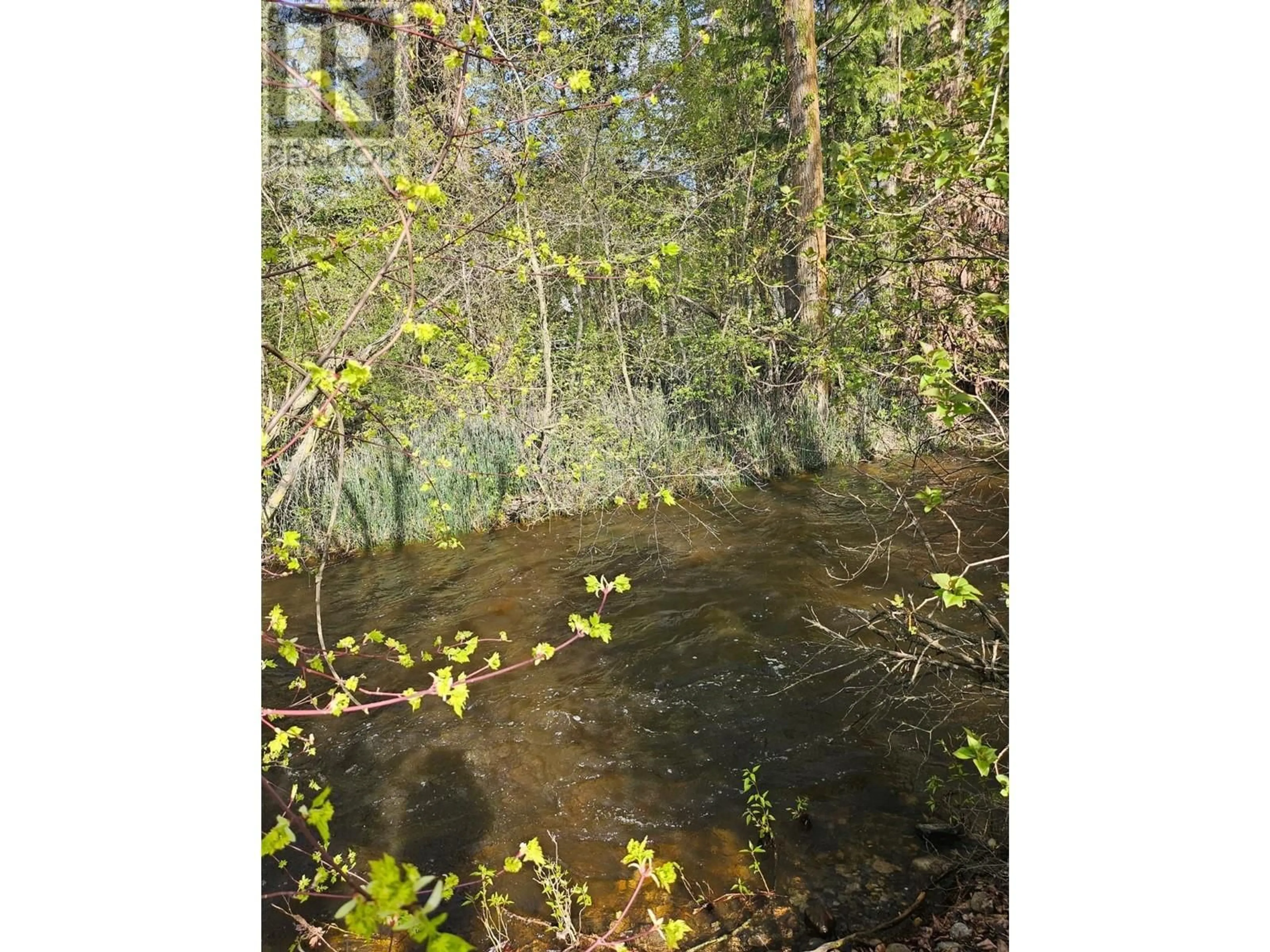 Blurry image for 2946 SEAMAN ROAD, Falkland British Columbia V0E1W0