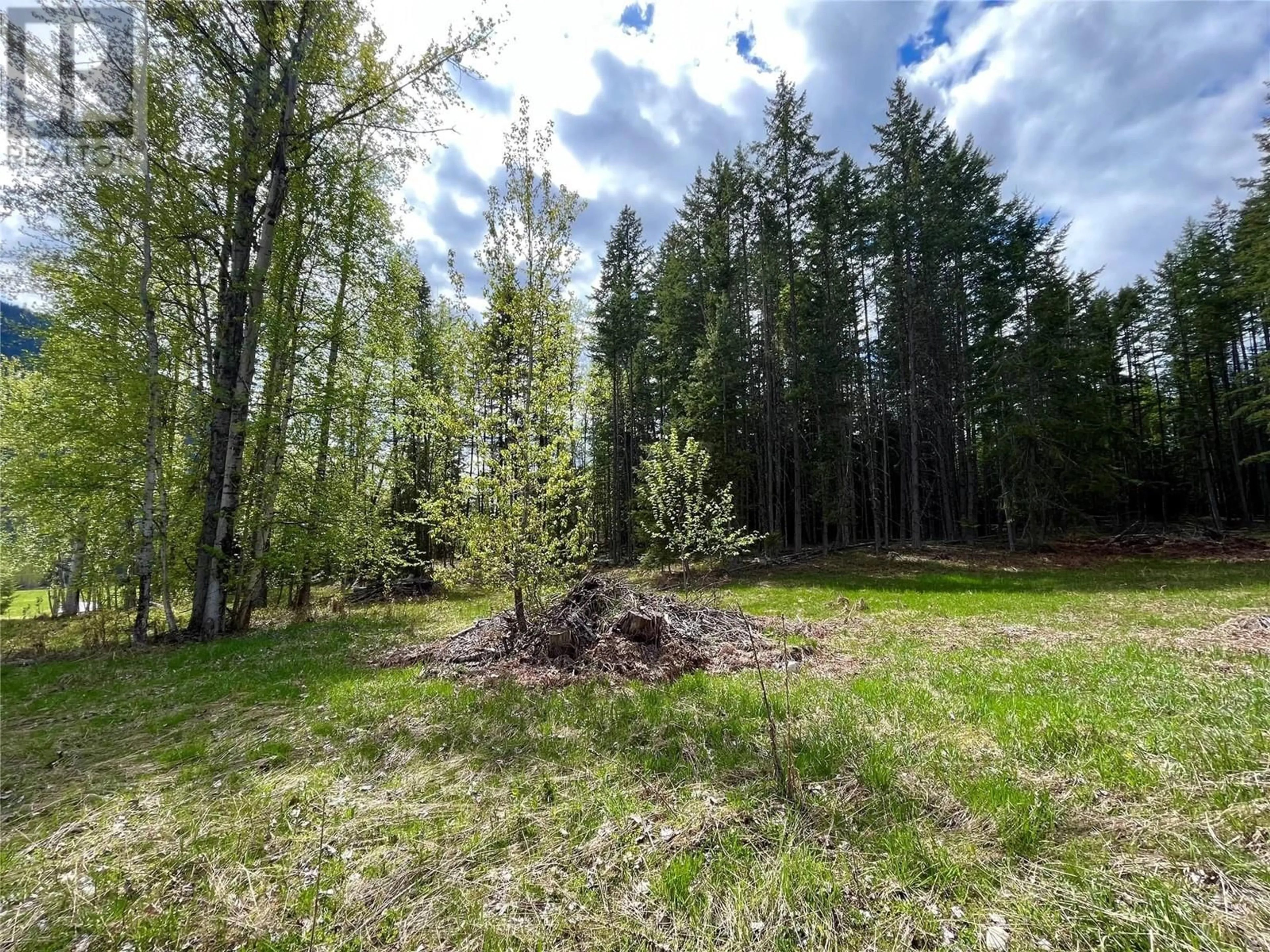 A pic from outside/outdoor area/front of a property/back of a property/a pic from drone, forest/trees view for 864 BARTLEY ROAD, Nakusp British Columbia V0G1R0