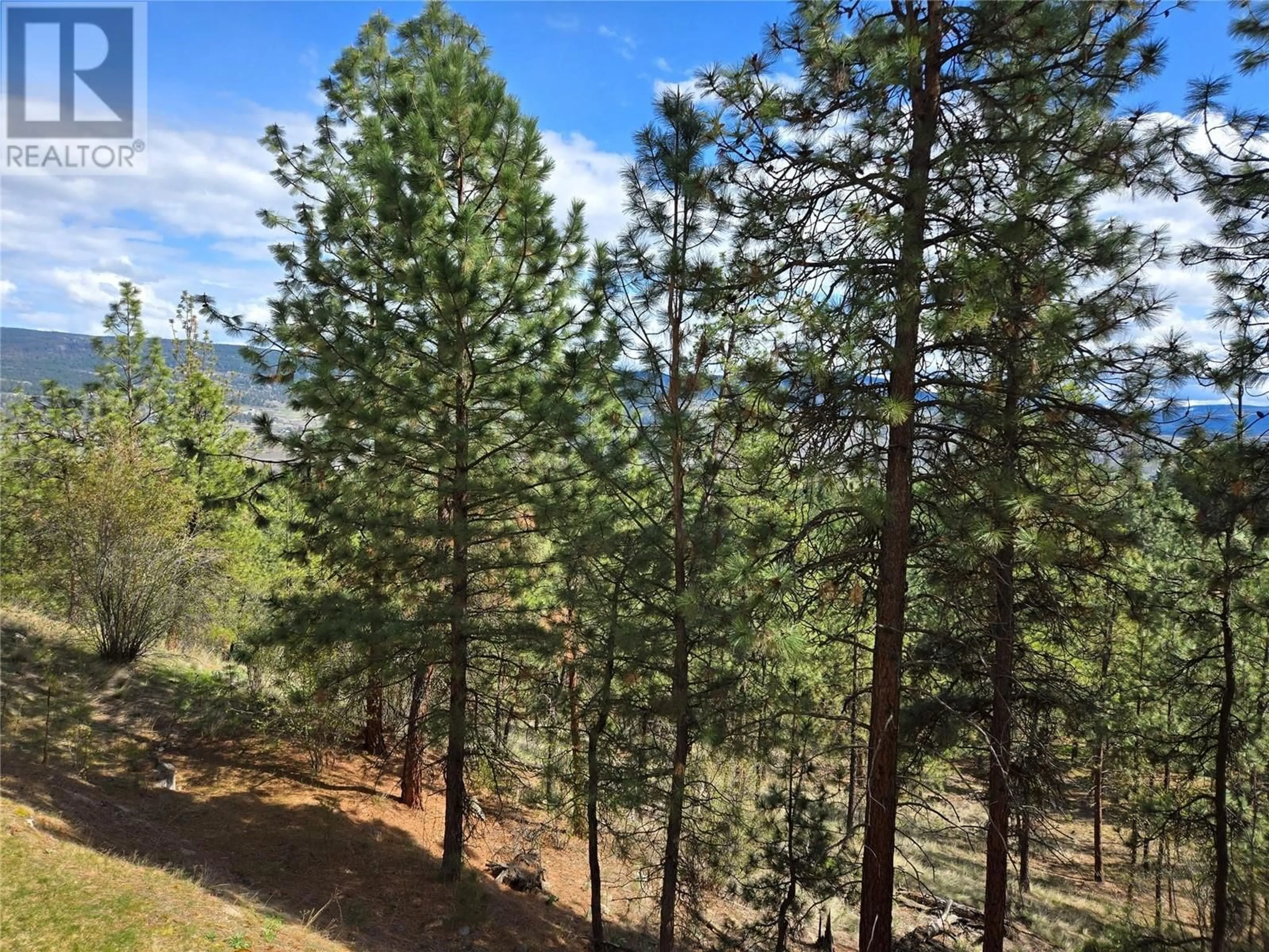 A pic from outside/outdoor area/front of a property/back of a property/a pic from drone, forest/trees view for 124 - 1795 COUNTRY CLUB DRIVE, Kelowna British Columbia V1V2V9