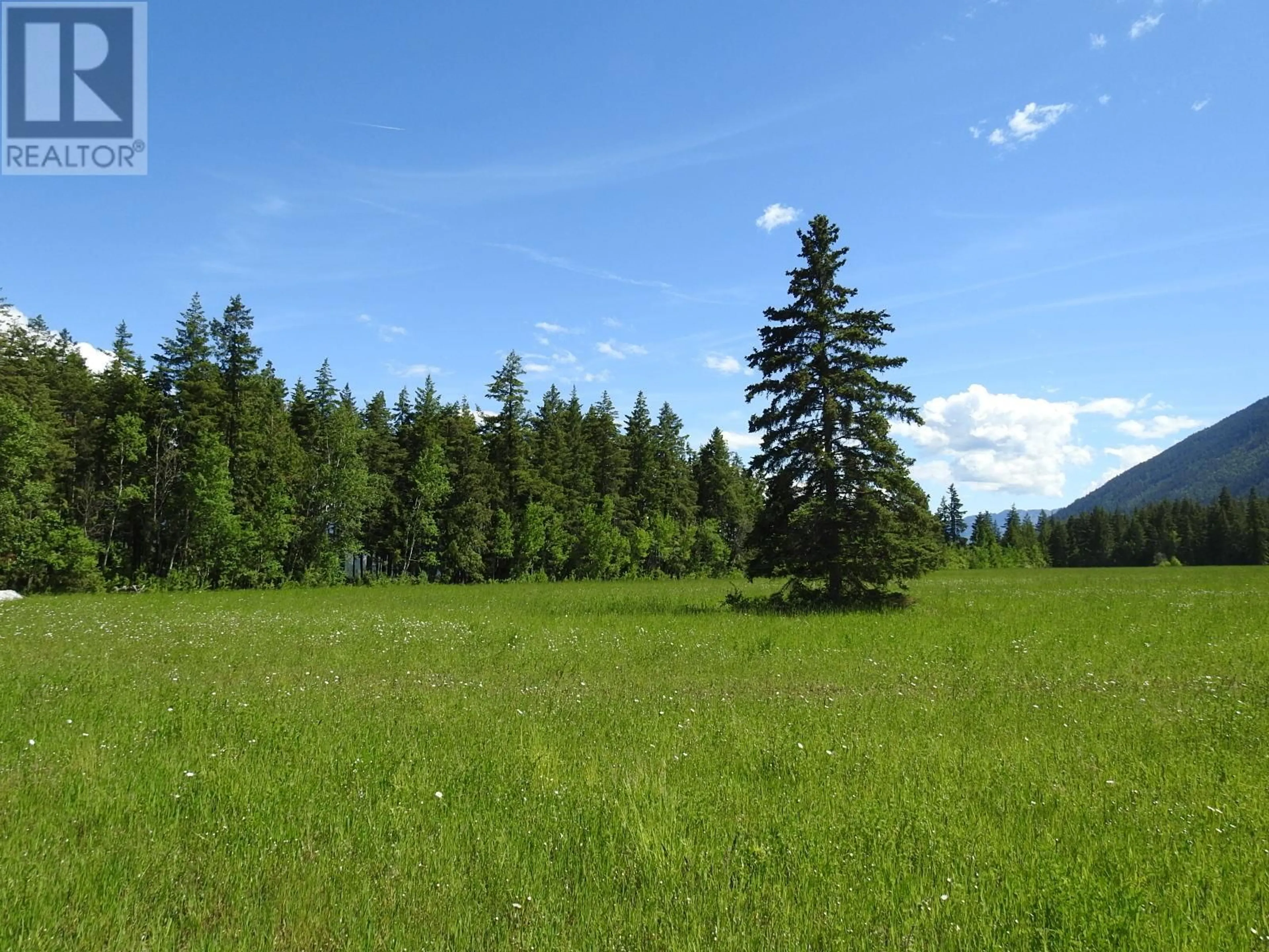 Blurry image for 1144 TAPPEN VALLEY ROAD, Tappen British Columbia V0E2X3