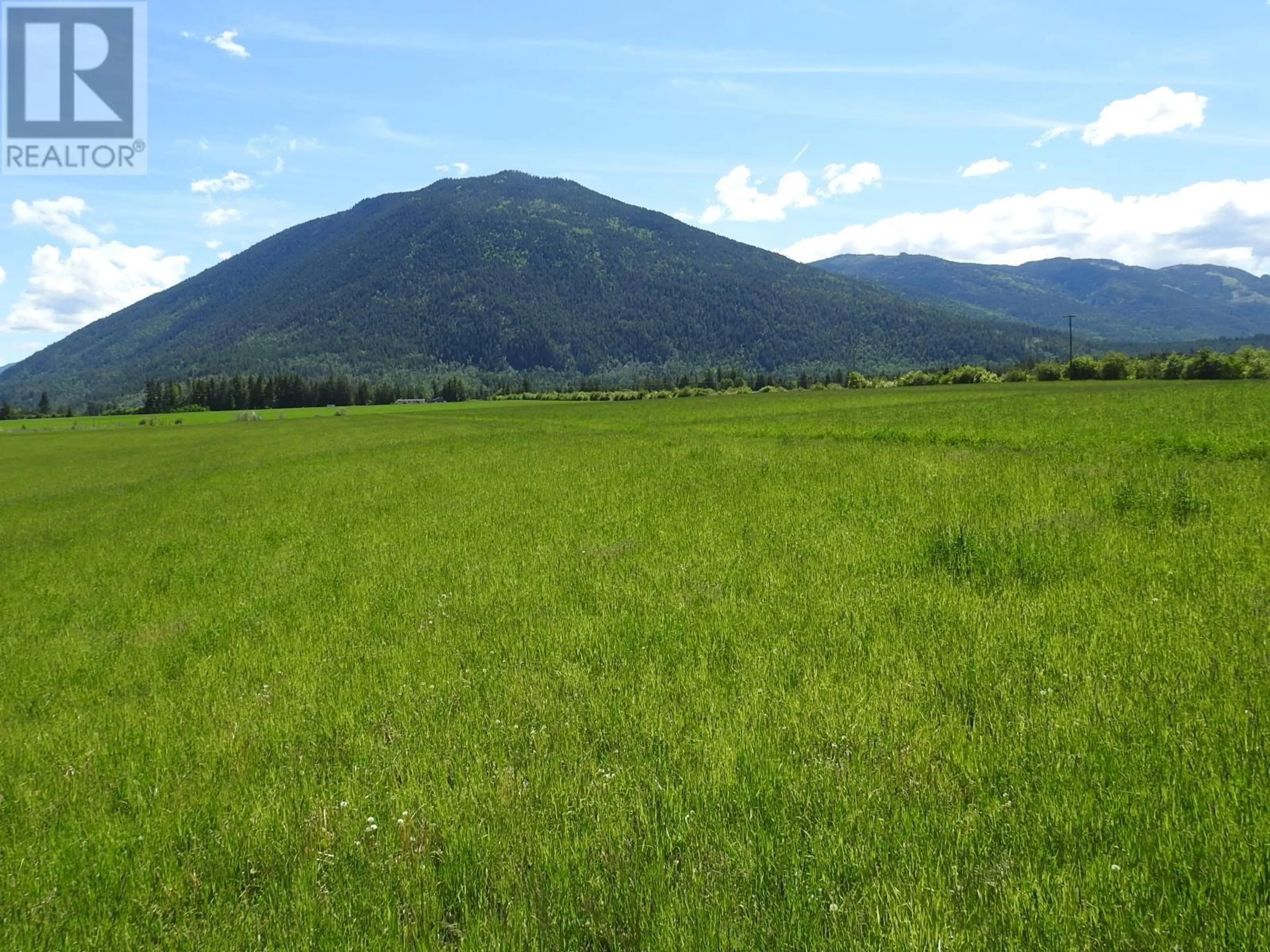 Blurry image for 1144 TAPPEN VALLEY ROAD, Tappen British Columbia V0E2X3
