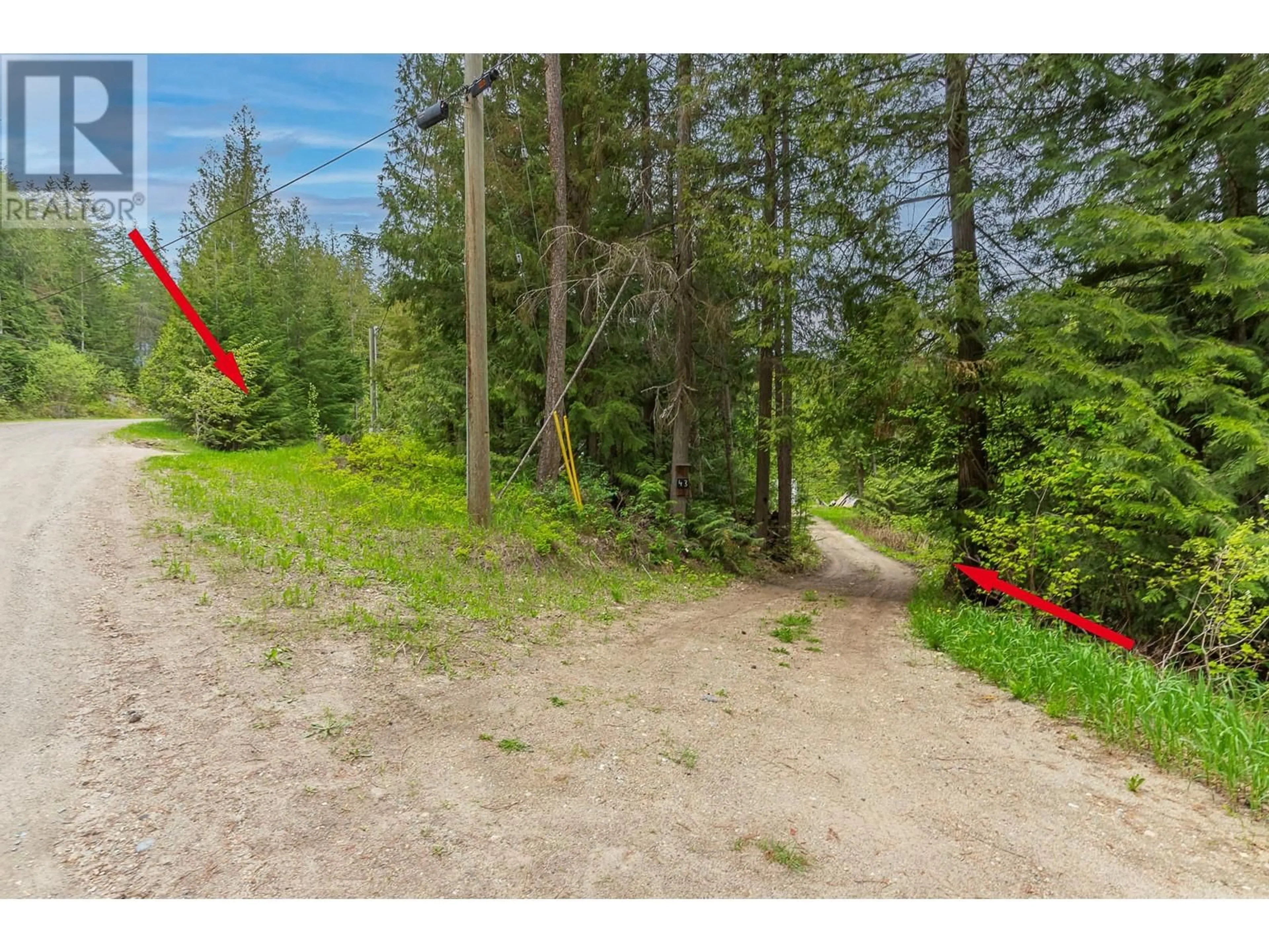 A pic from outside/outdoor area/front of a property/back of a property/a pic from drone, forest/trees view for 43 HALL ROAD, Enderby British Columbia V0E1V3
