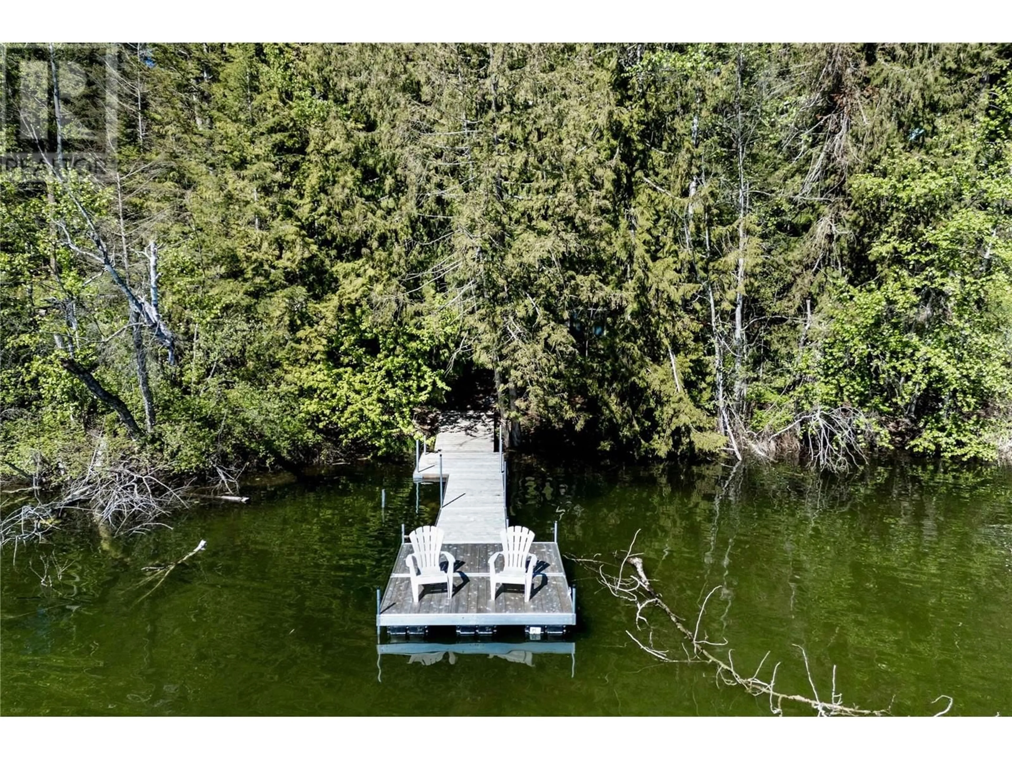 A pic from outside/outdoor area/front of a property/back of a property/a pic from drone, forest/trees view for 701 PARK ROAD, Enderby British Columbia V4Y4H6
