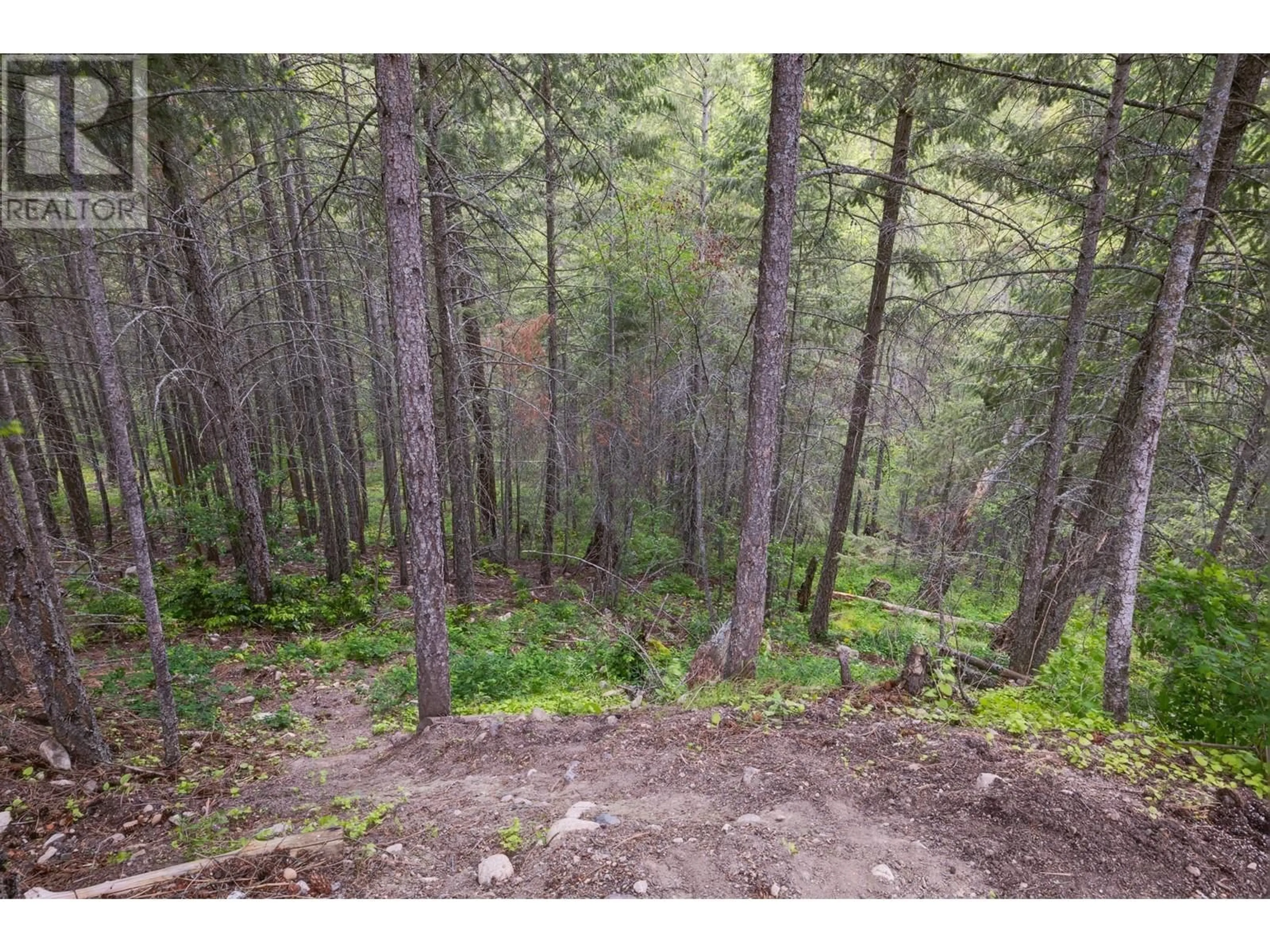 A pic from outside/outdoor area/front of a property/back of a property/a pic from drone, forest/trees view for 10600 COLUMBIA WAY, Vernon British Columbia V1H2B4