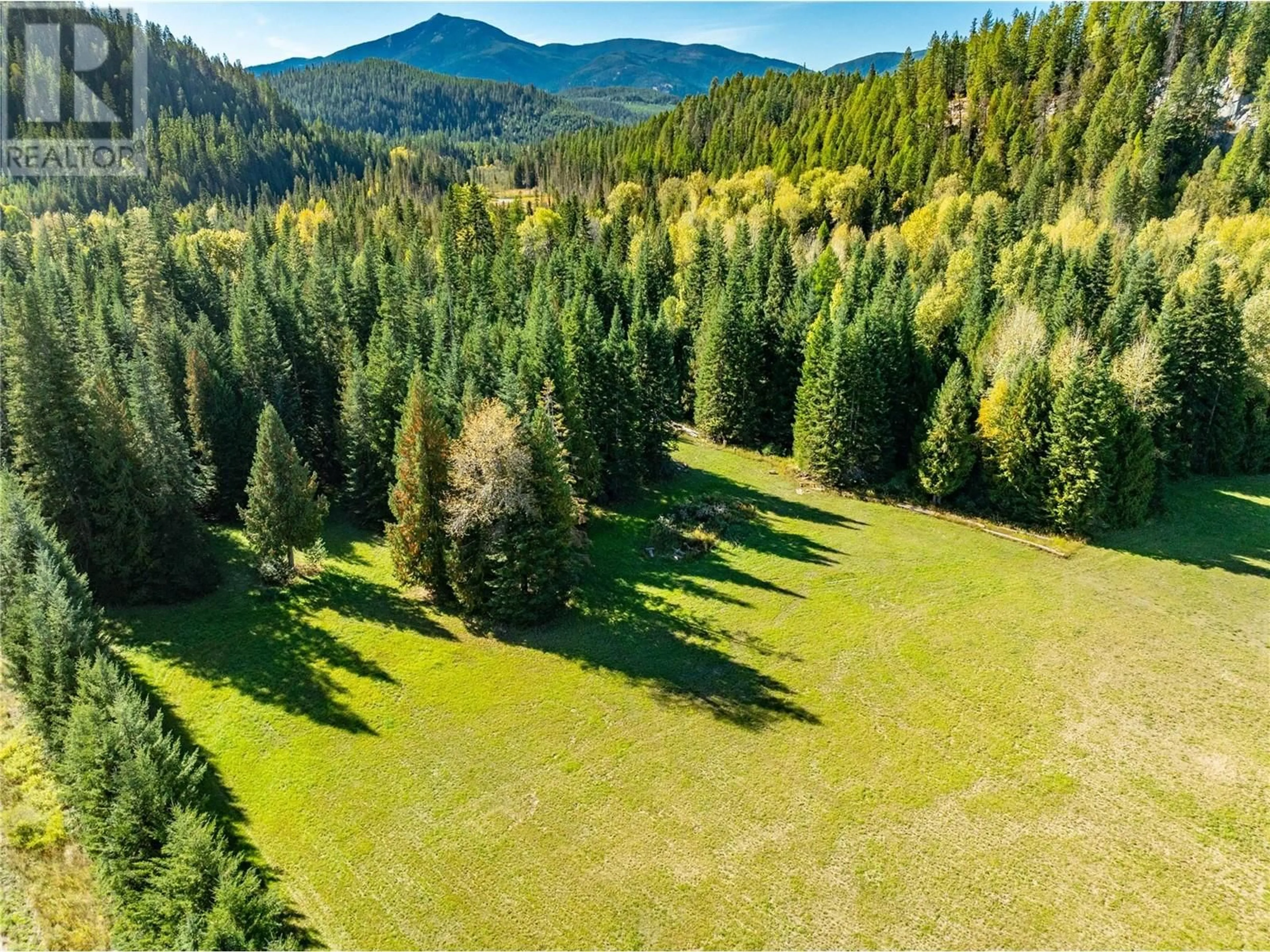 A pic from outside/outdoor area/front of a property/back of a property/a pic from drone, forest/trees view for 9848 6 HIGHWAY, Salmo British Columbia V0G1Z0