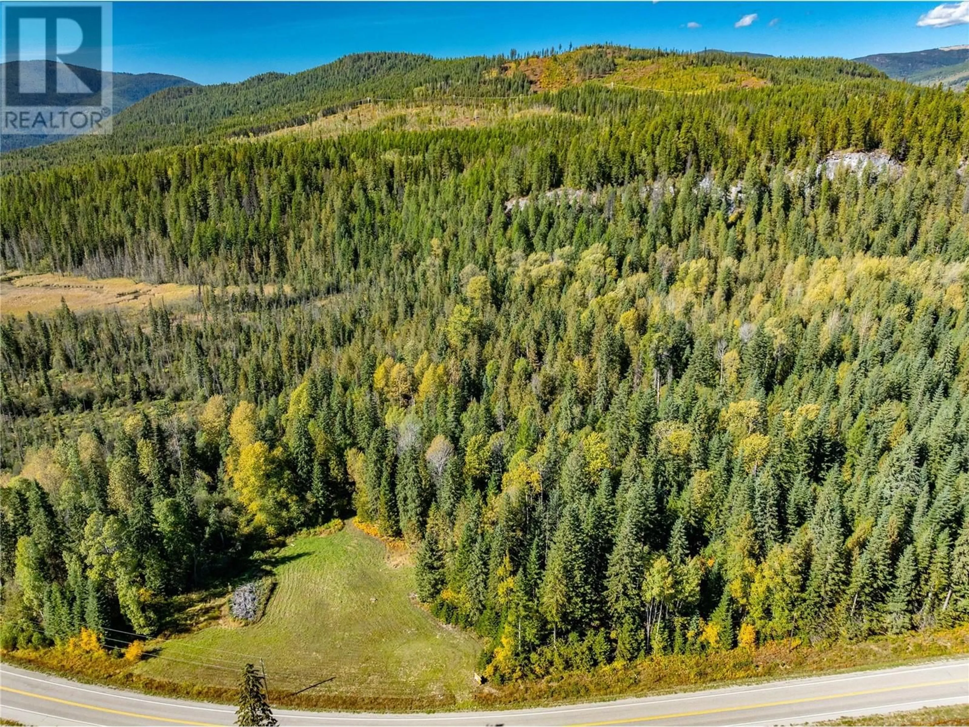 A pic from outside/outdoor area/front of a property/back of a property/a pic from drone, forest/trees view for 9848 6 HIGHWAY, Salmo British Columbia V0G1Z0