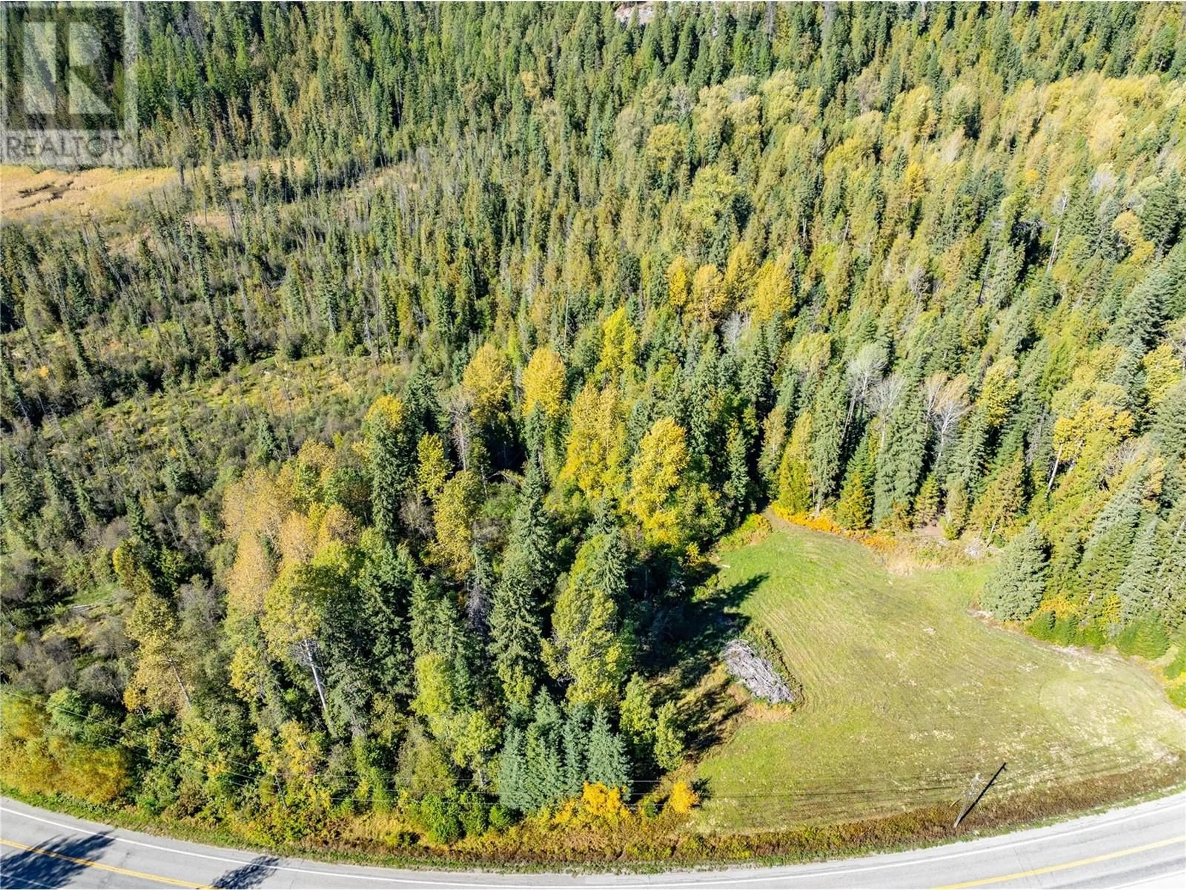 A pic from outside/outdoor area/front of a property/back of a property/a pic from drone, forest/trees view for 9848 6 HIGHWAY, Salmo British Columbia V0G1Z0