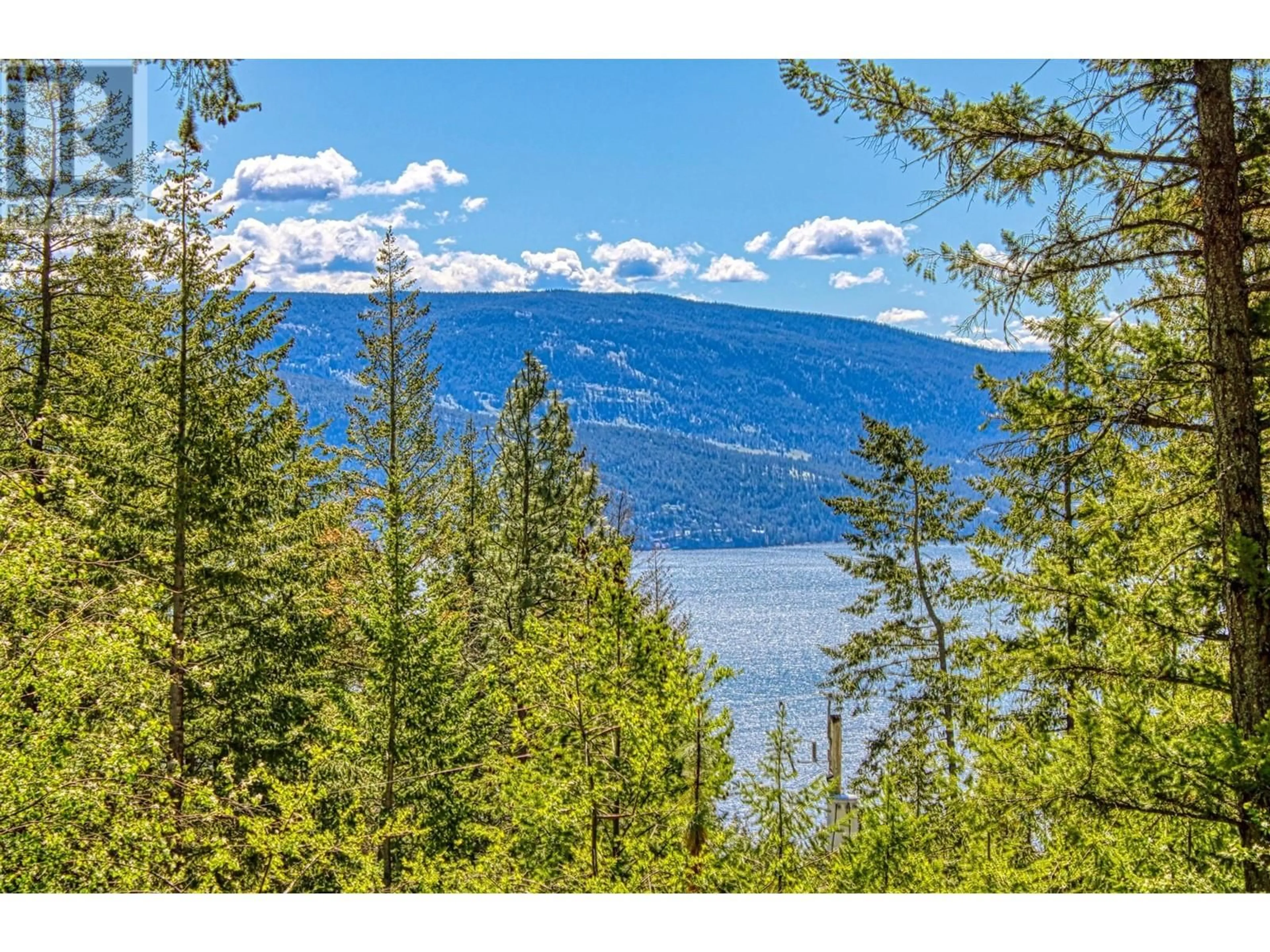 A pic from outside/outdoor area/front of a property/back of a property/a pic from drone, forest/trees view for 9580 HOUGHTON ROAD, Vernon British Columbia V1H2C9