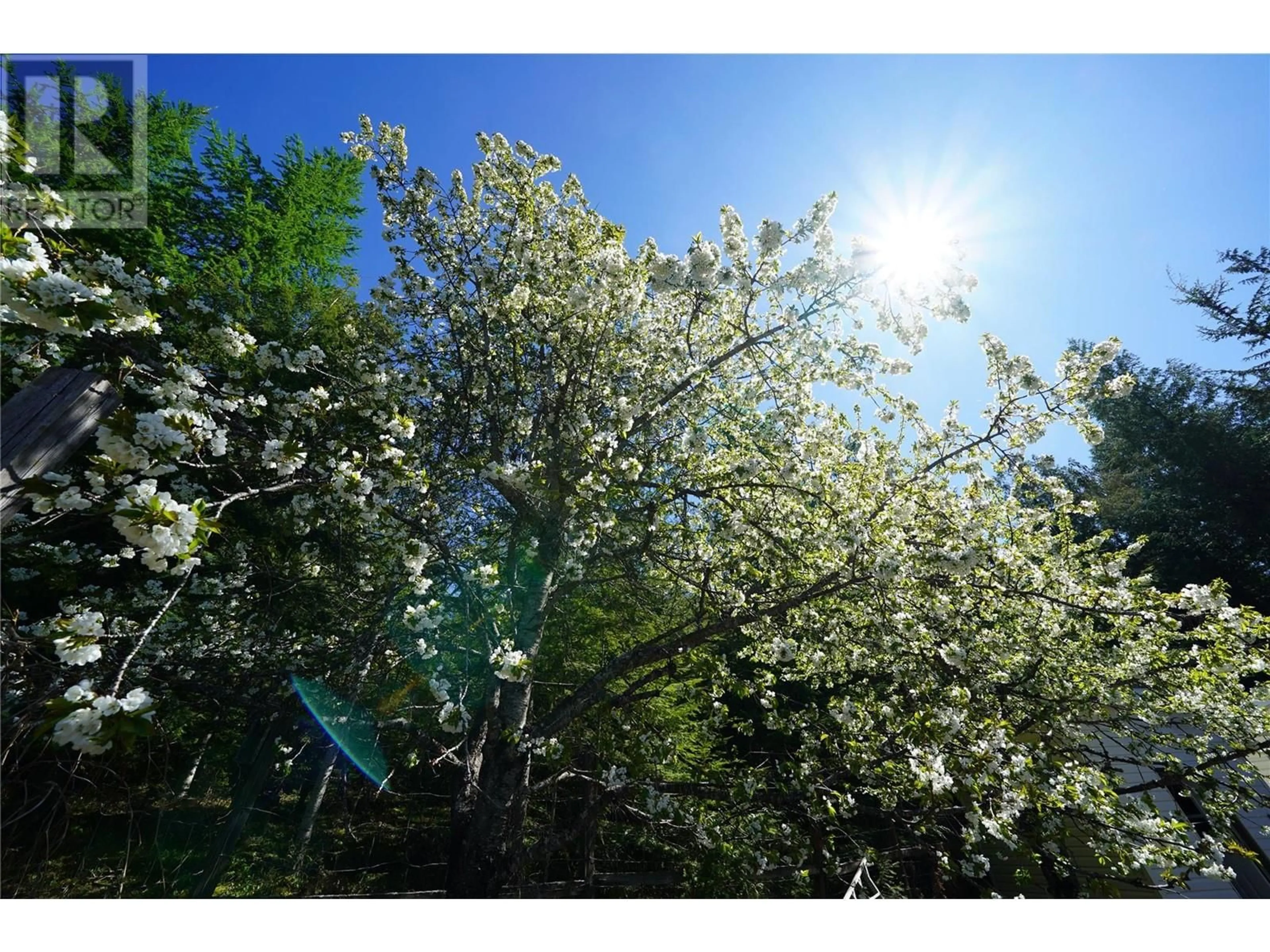 Blurry image for 425 ALEXANDER ROAD, Procter British Columbia V1L0B5