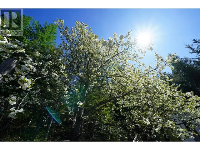 425 ALEXANDER ROAD, Procter 3