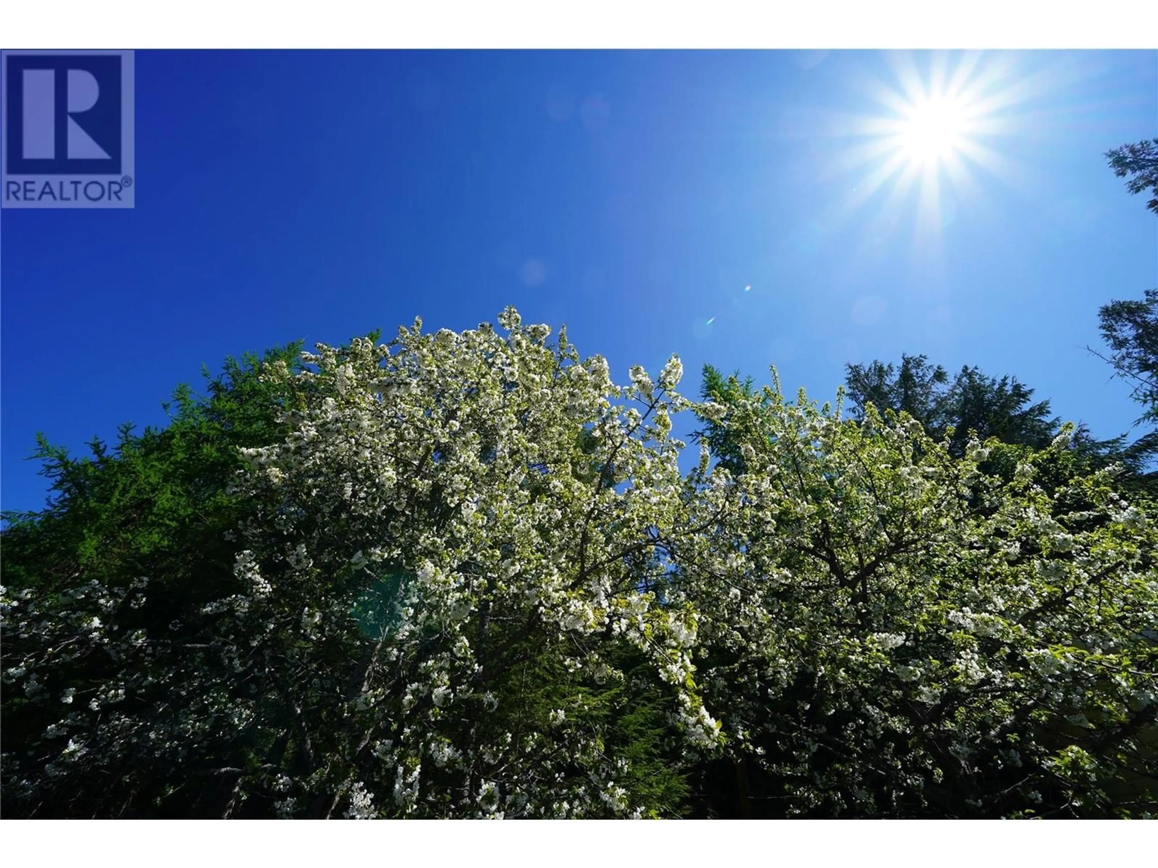 Blurry image for 425 ALEXANDER ROAD, Procter British Columbia V1L0B5