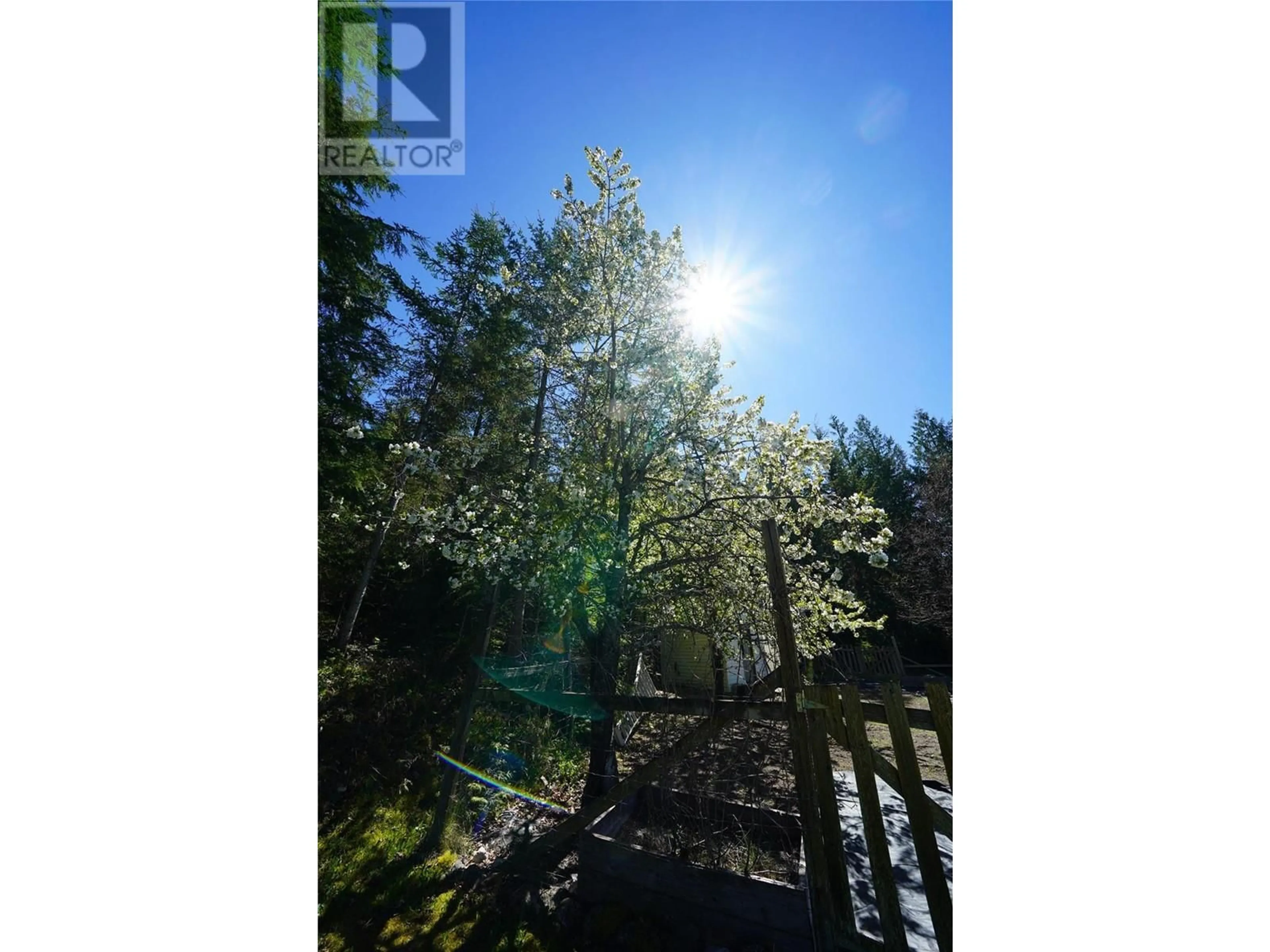 A pic from outside/outdoor area/front of a property/back of a property/a pic from drone, forest/trees view for 425 ALEXANDER ROAD, Procter British Columbia V1L0B5